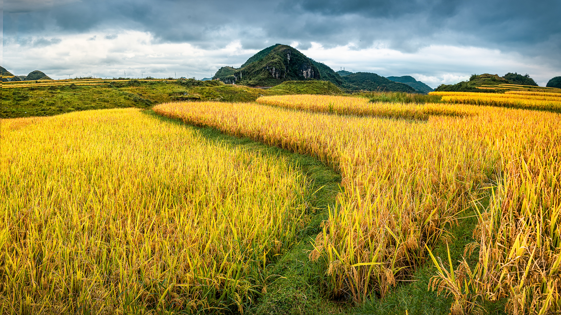 有的时候,随意地对着窗外的风景拍一张,就捕捉住了那一瞬间的美好