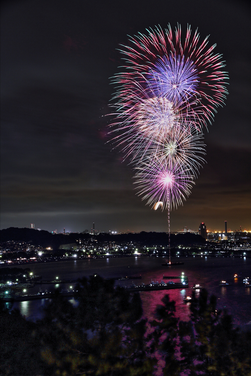当除夕夜遇上航拍,全国各地的烟花秀简直嗨翻天啦!