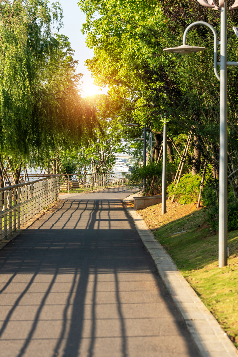我来到江边,开启晨练时光.岸边的柳树随风摇曳,像是在为我加油助威