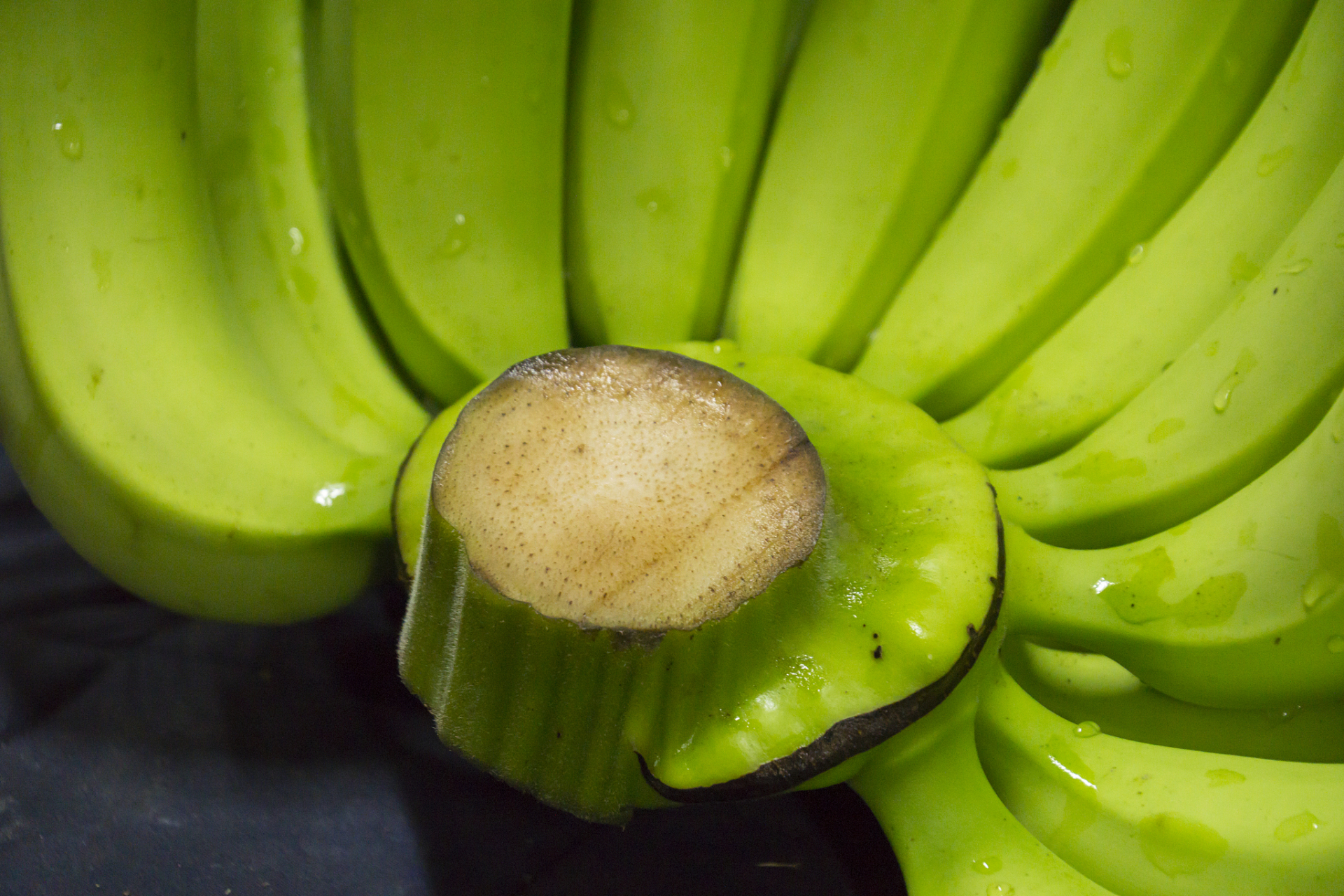 焦绿香蕉,这一独特的水果品种,以其别具一格的色彩和口感,在水果界中