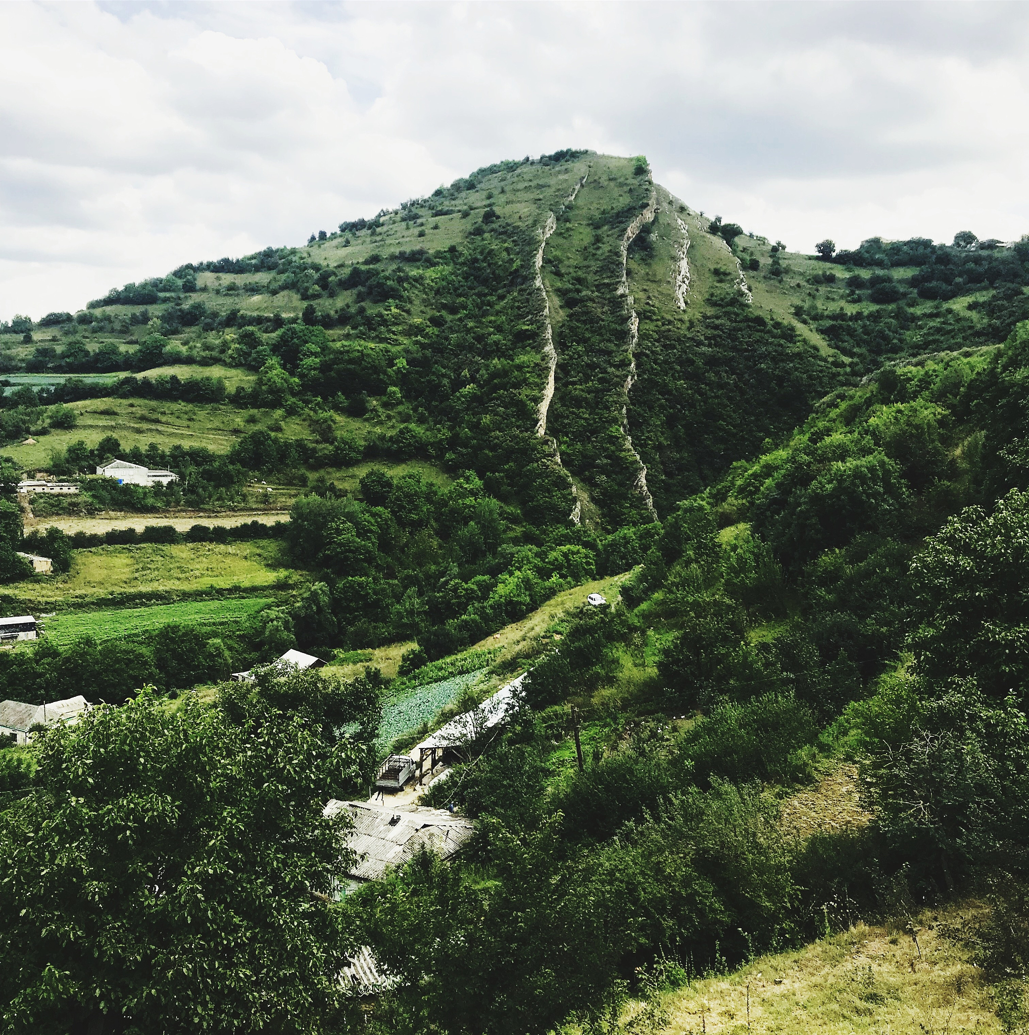 绿林山下