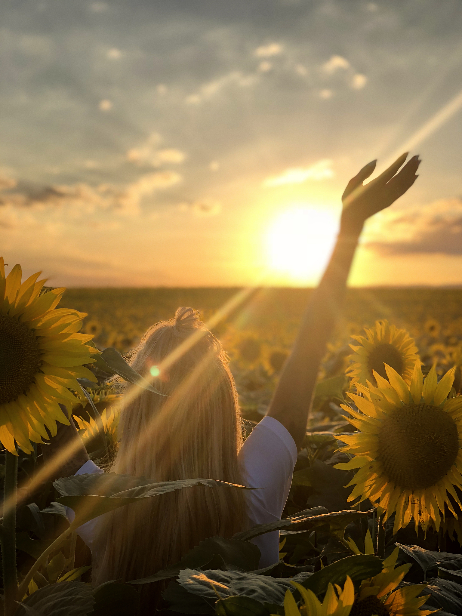 像向日葵般,始终面向阳光,绽放灿烂笑容,让正能量满溢生命的每一个