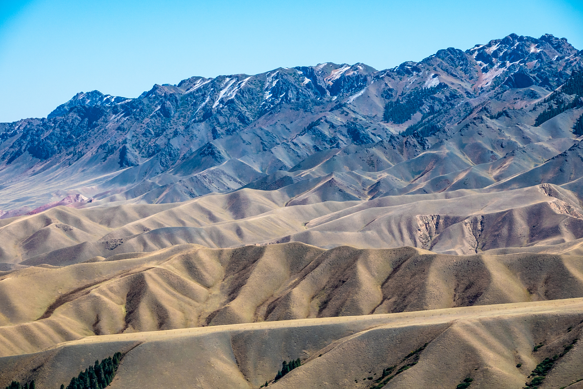 点我头像看直播##和田玉# #陨石#新疆昆仑玉的主产区是新疆昆仑山鲻