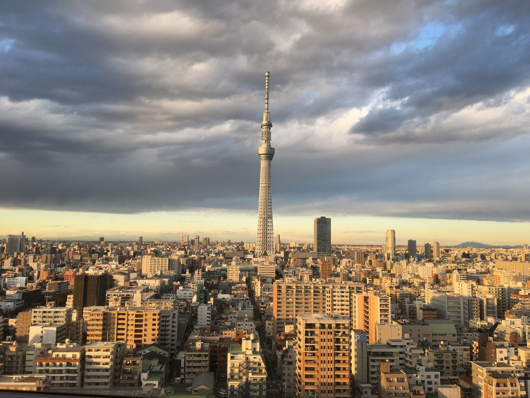 东京晴空塔多高图片