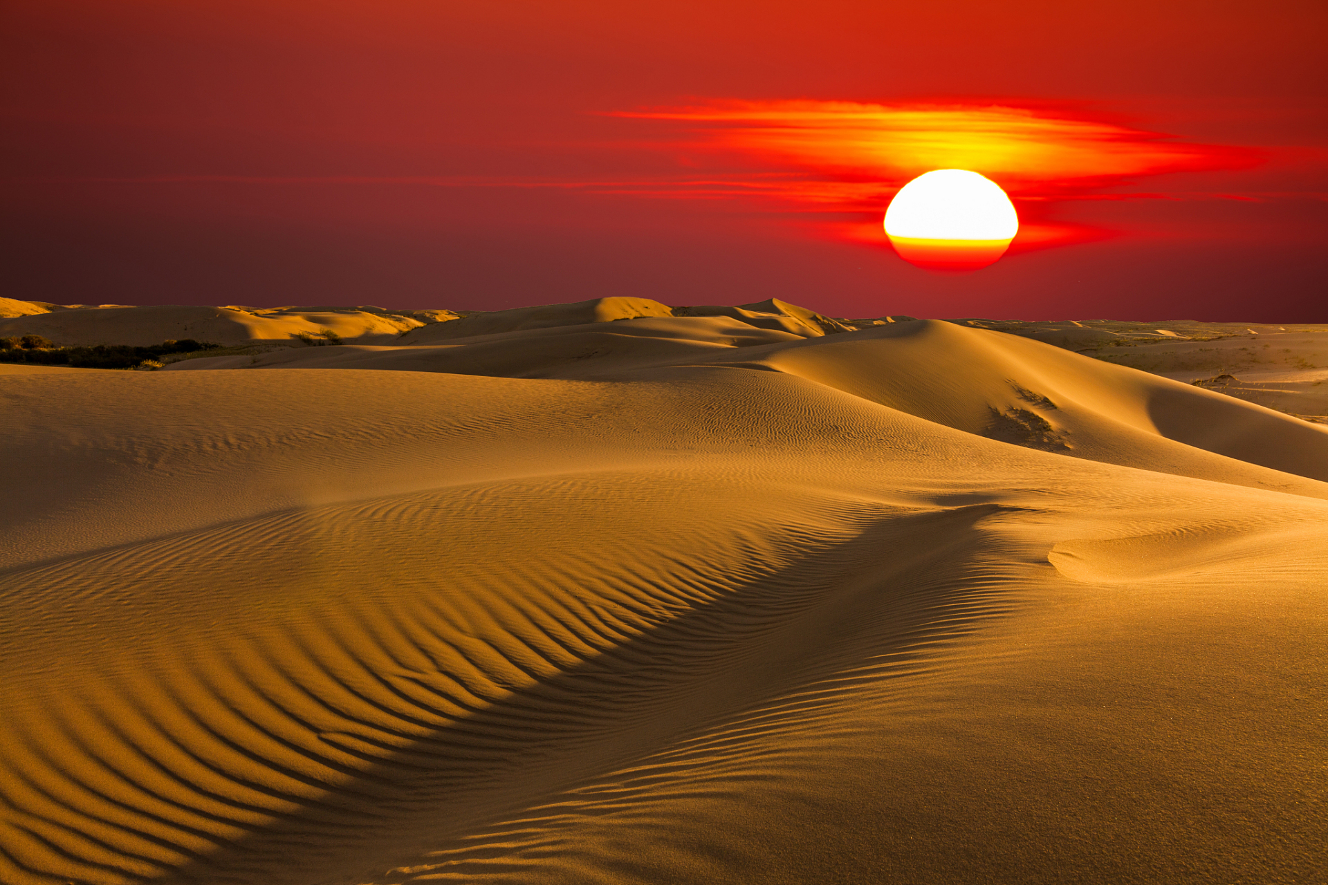 11566 沙漠夕阳,这是一个让人心醉神迷的景象.