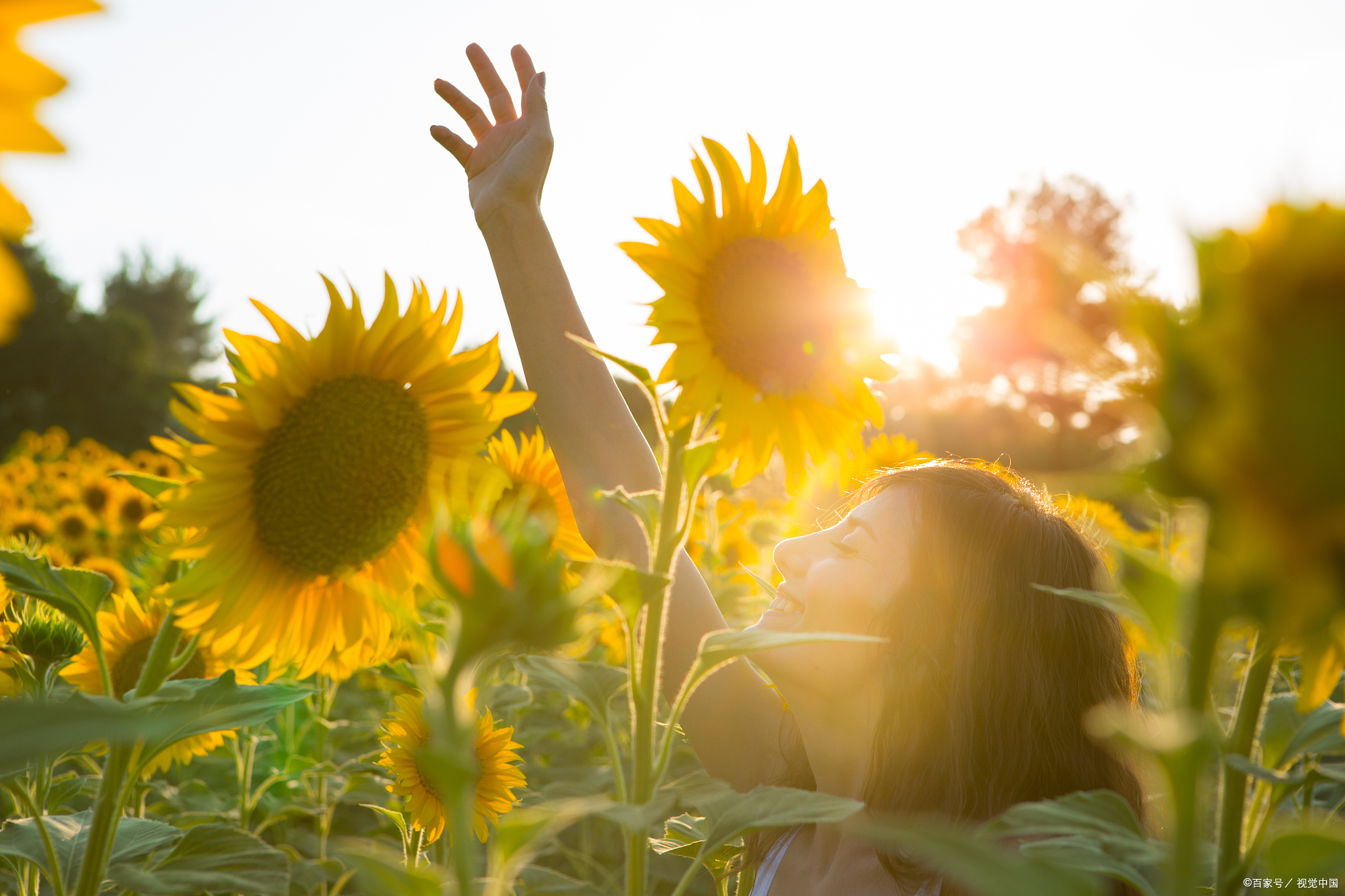 有没有那么一个人,你想见,却又见不到.便开始胡思乱想