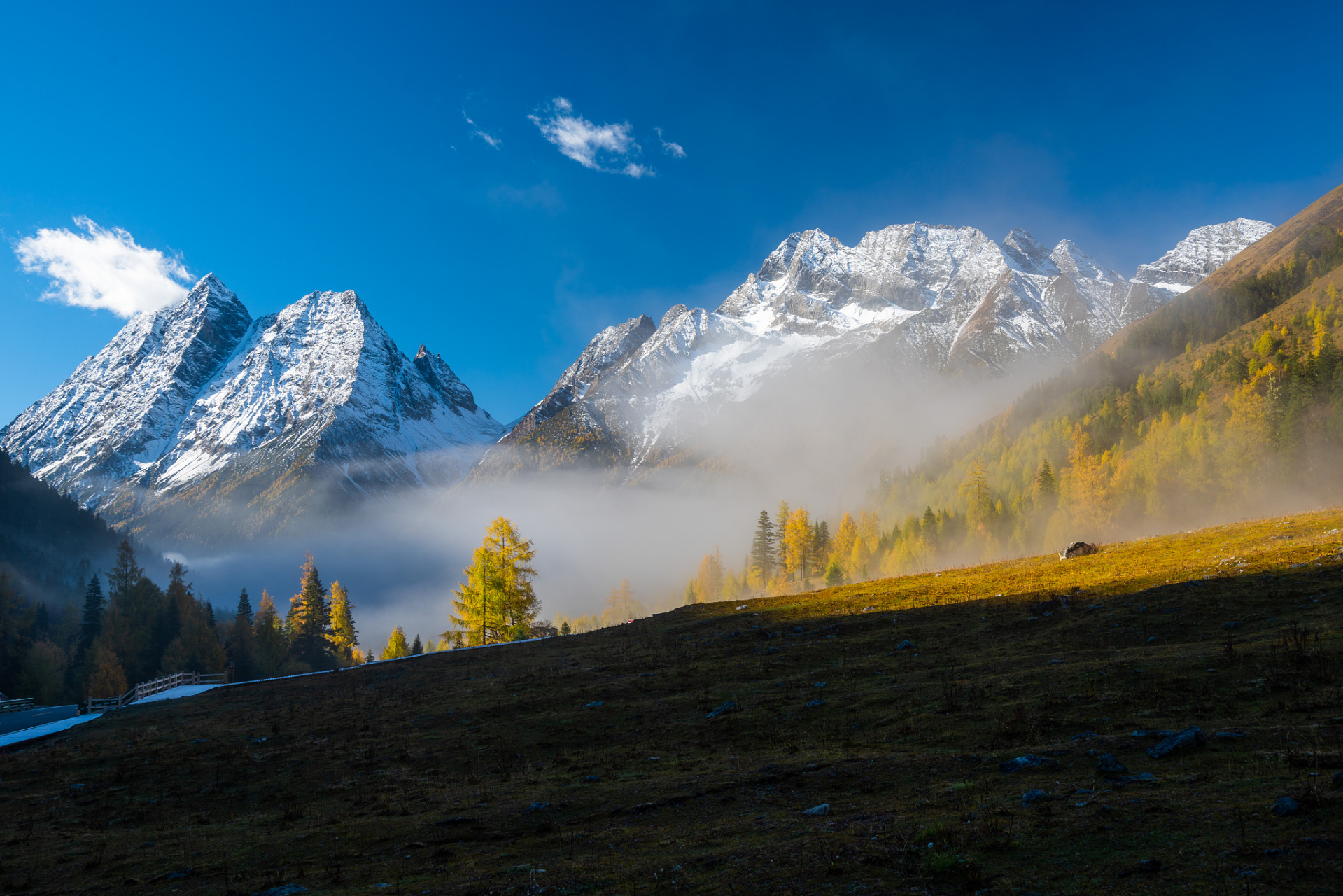 达古冰川,位于四川省阿坝藏族羌族自治州黑水县芦花镇马桥,是一座现代
