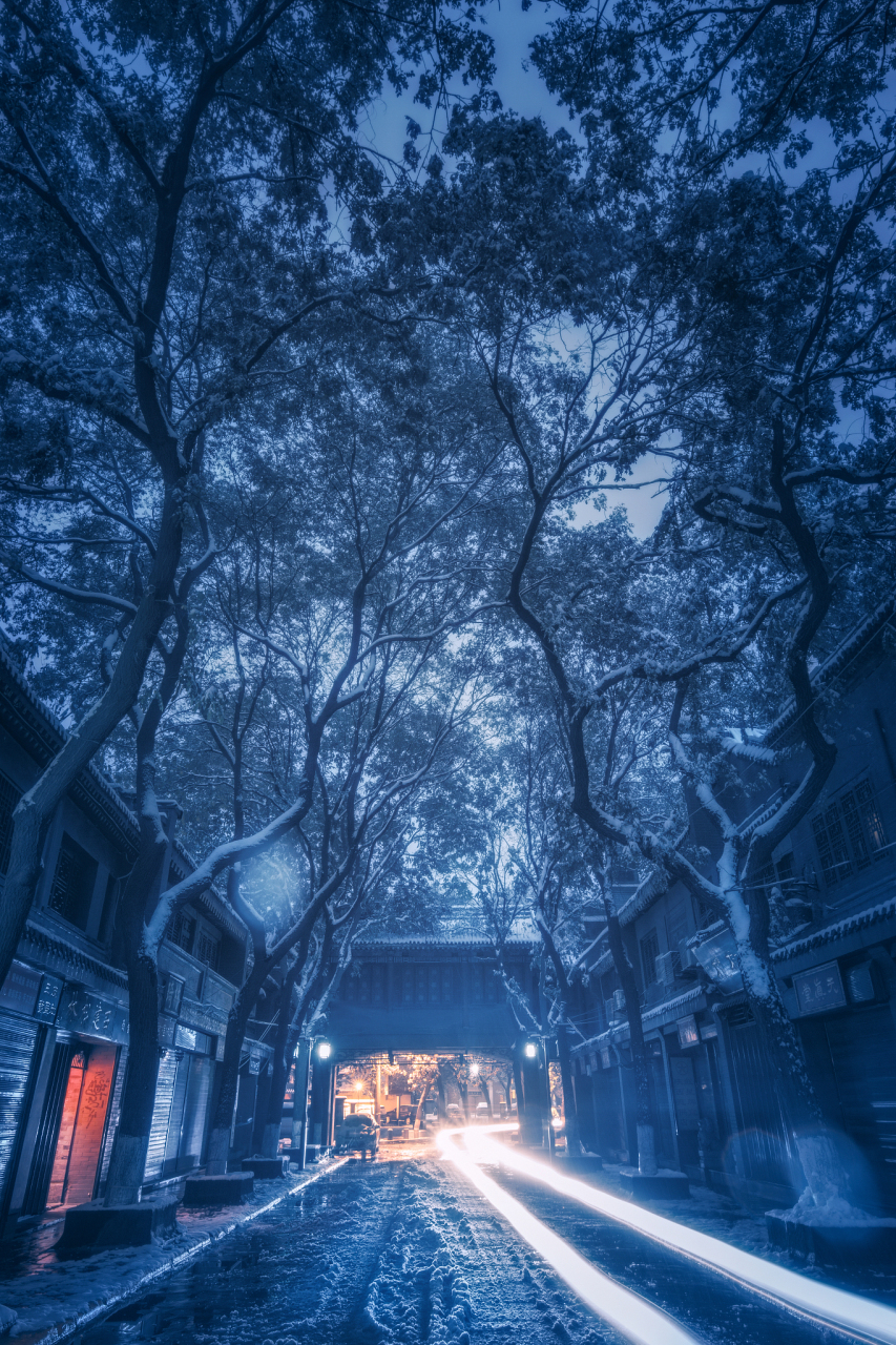 英汉对照:朔风north wind  殷忧不能寐,苦此夜难颓.