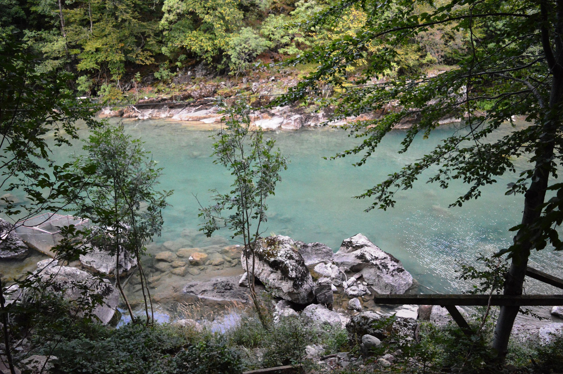 白水河国家森林公园,建立于1996年,位于四川省彭州市,是保护大熊猫等