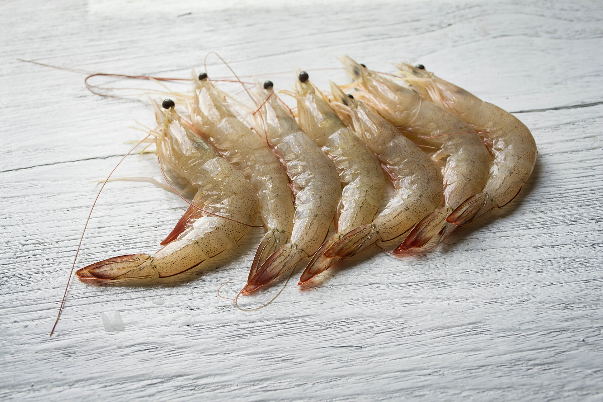 #南美白虾卖爆了# 8月24日13时,日本福岛第一核电站启动核污染水排海.