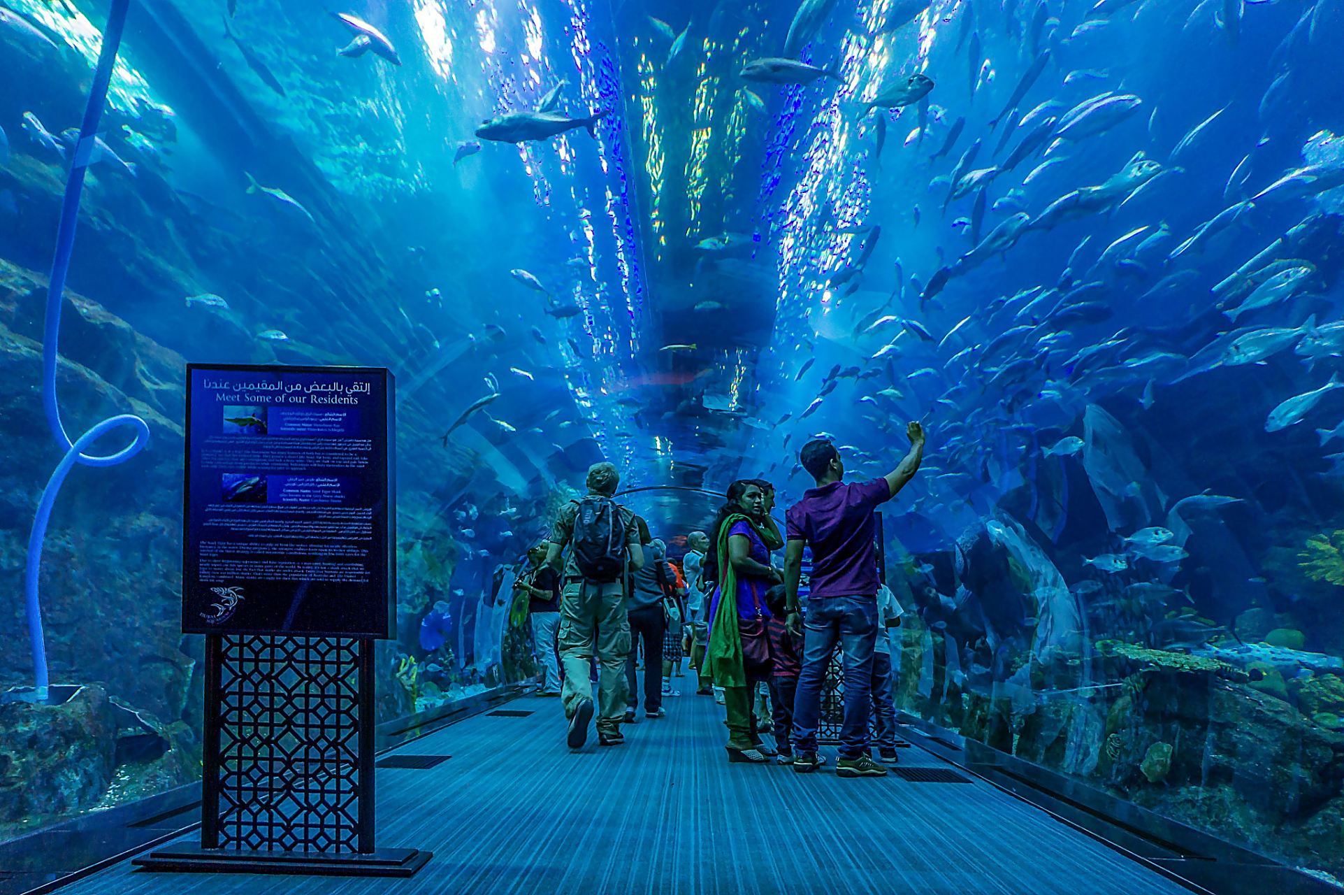 95探索墨西哥坎昆水下博物馆95  坎昆水下博物馆是一处令人惊叹的