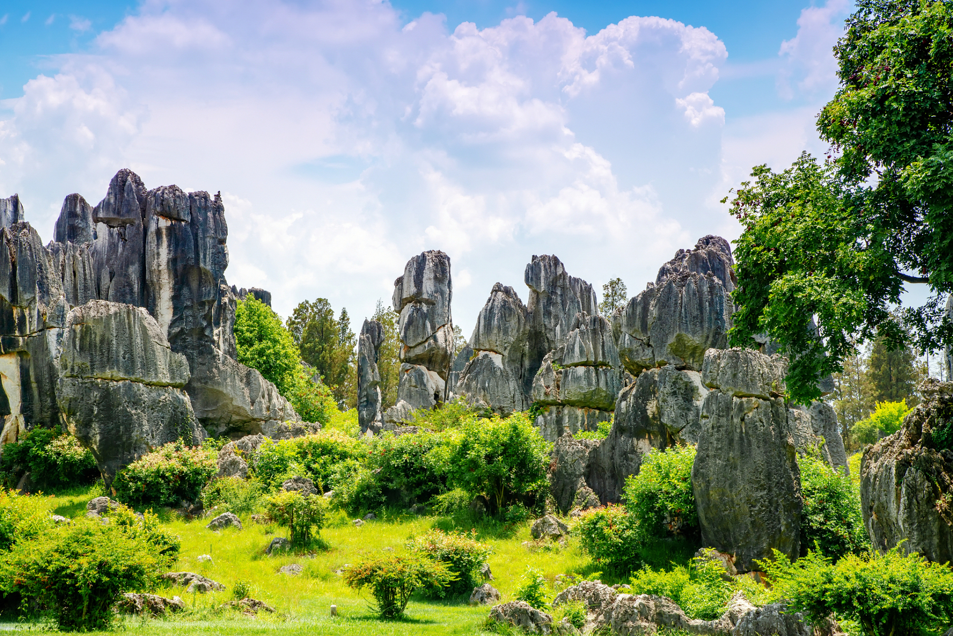 云南省国家5a级旅游景区9家:#九月动态激励计划#  昆明市石林族自治县