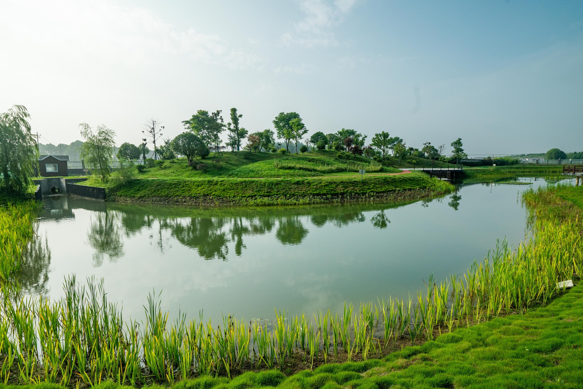 府河湿地公园位于武汉市黄陂区,东西湖区境内,总面积5156公顷,拥有