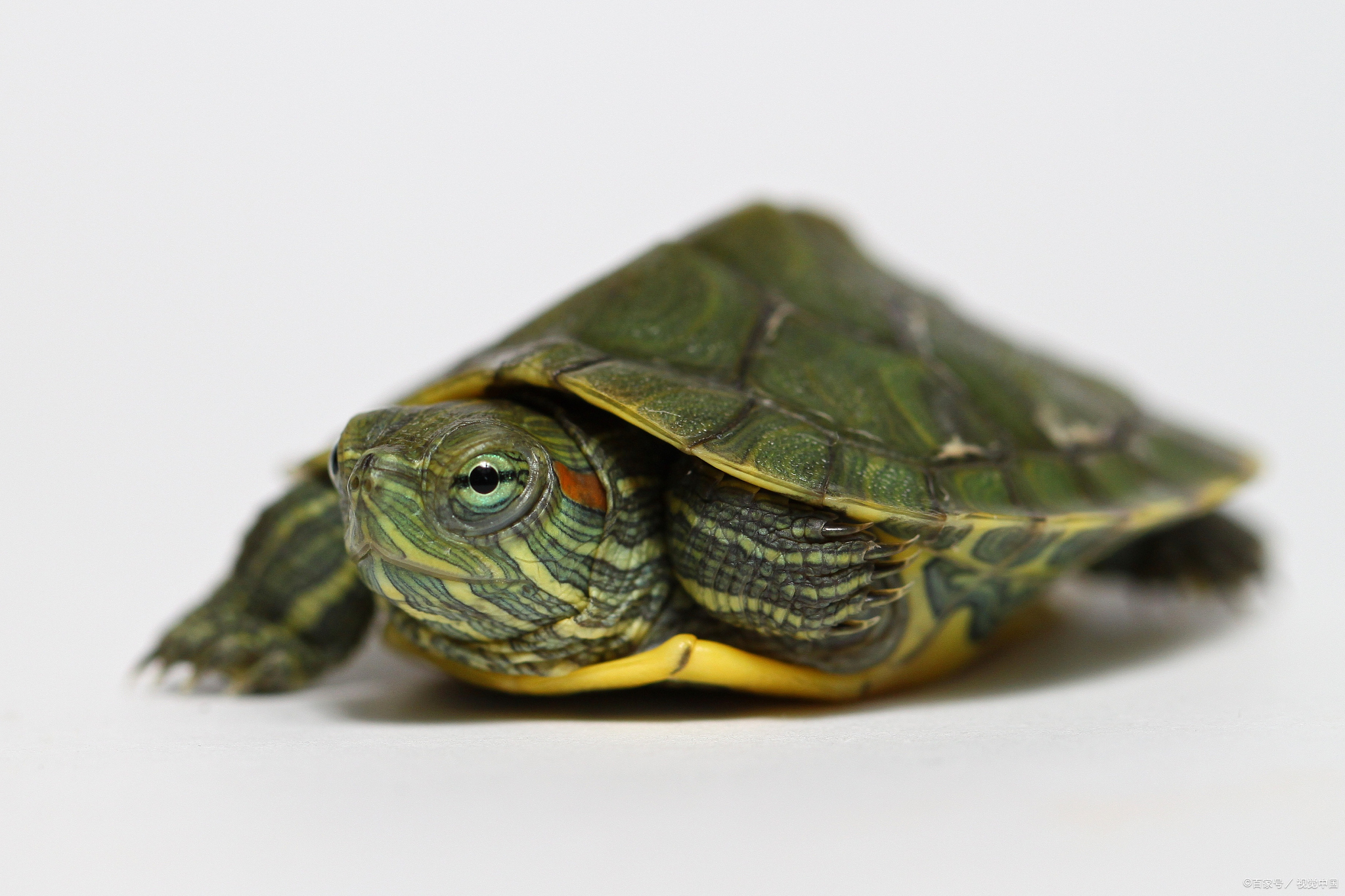 迷你探险家:揭秘3