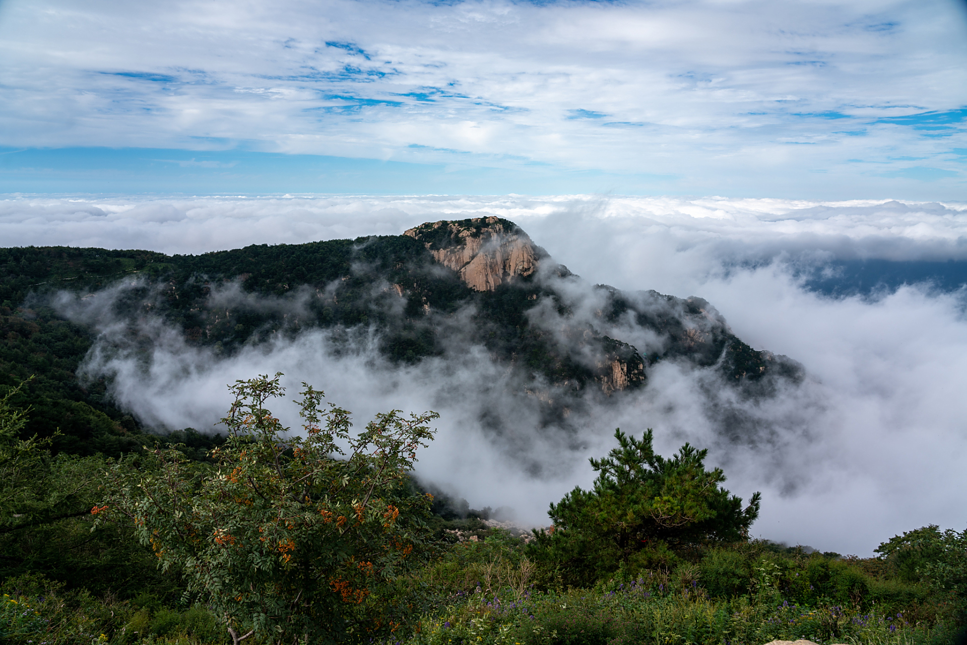 雾灵山为国家级自然保护区,森林覆盖率高达93%,主峰海拔为2118米,为