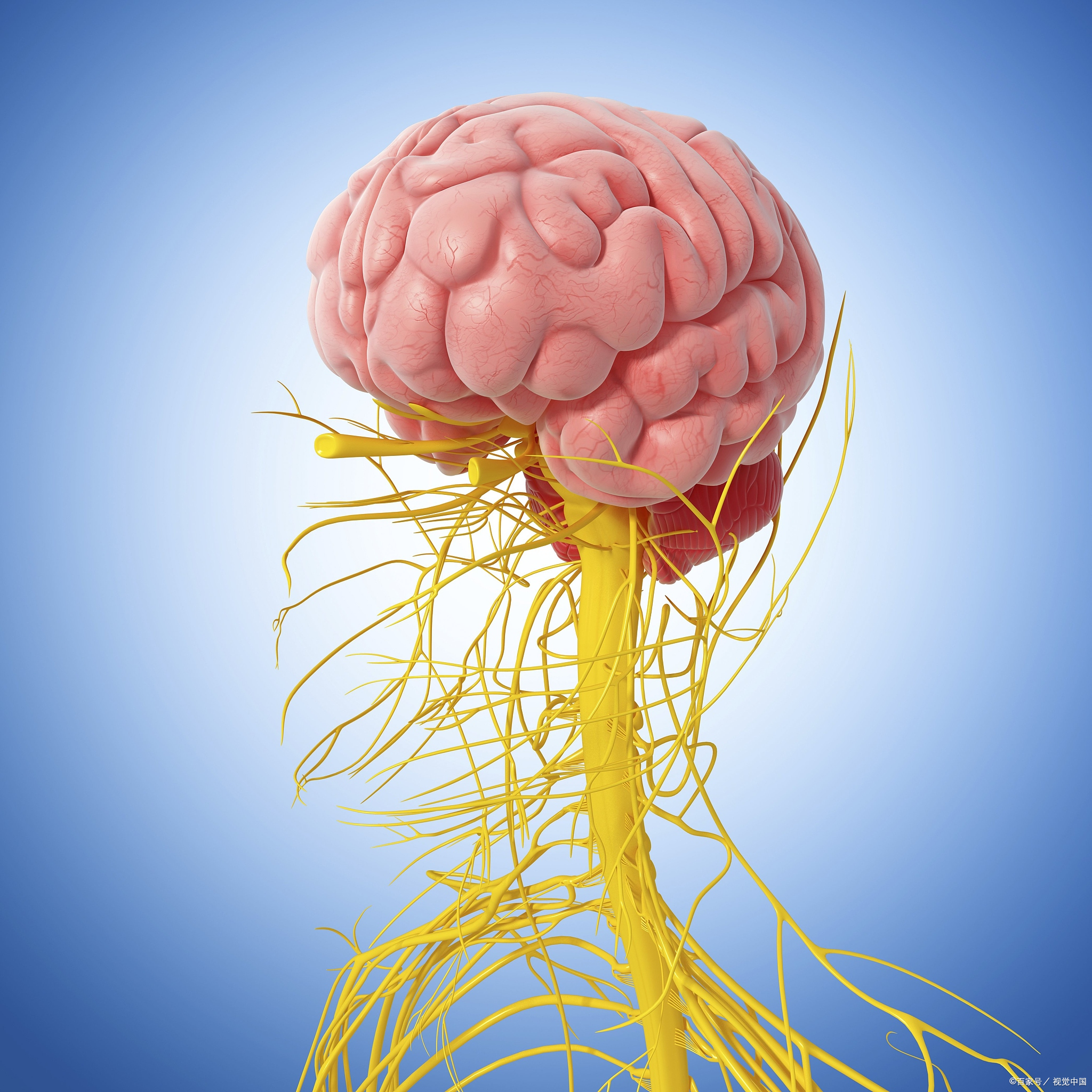 我是神经外科的医生,今天来聊聊一个可能让很多人感到陌生的医学话题