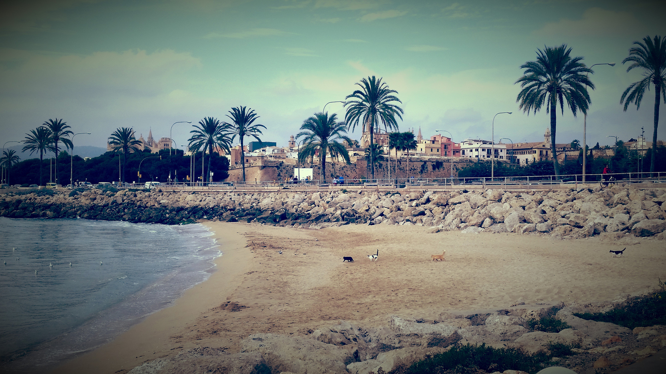 新几内亚和巴布亚新几内亚,一个印尼的宝藏,一个独立的明珠,同在