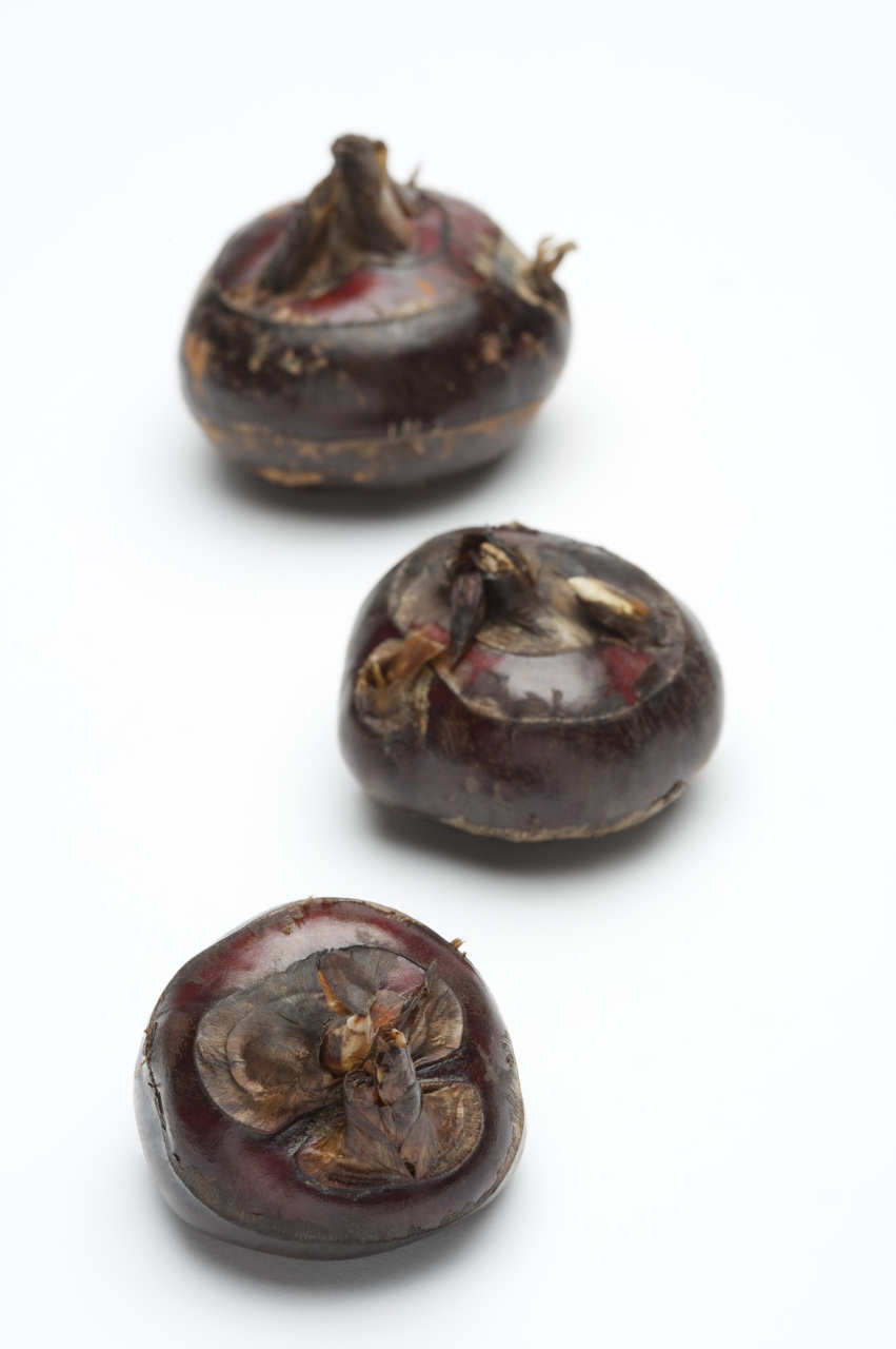 马蹄就是荸荠,俗称马蹄.荸荠的果肉就是马蹄.