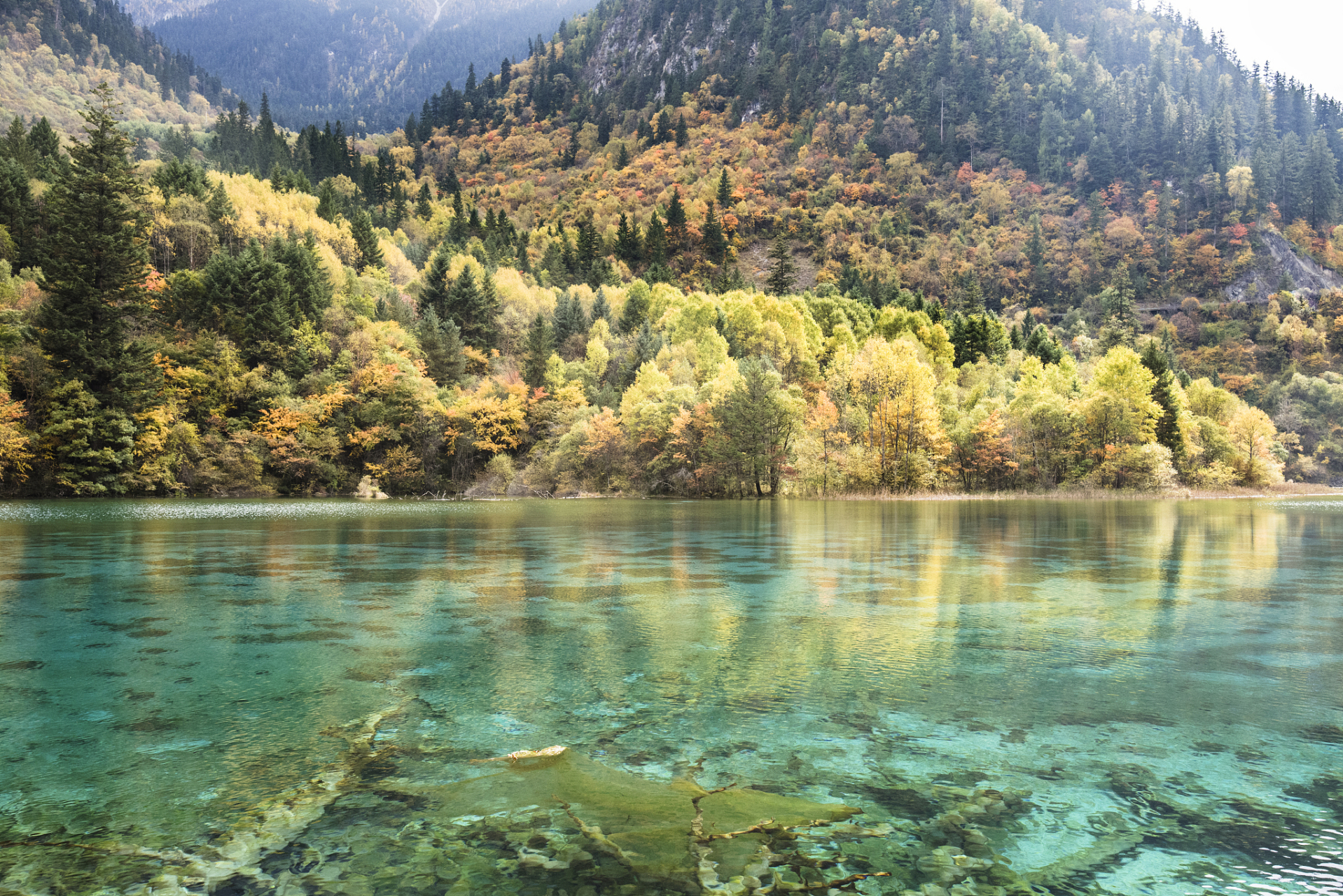 第一次去四川,纯粹是好奇心作祟,想看看那传说中的天府之国到底长啥样