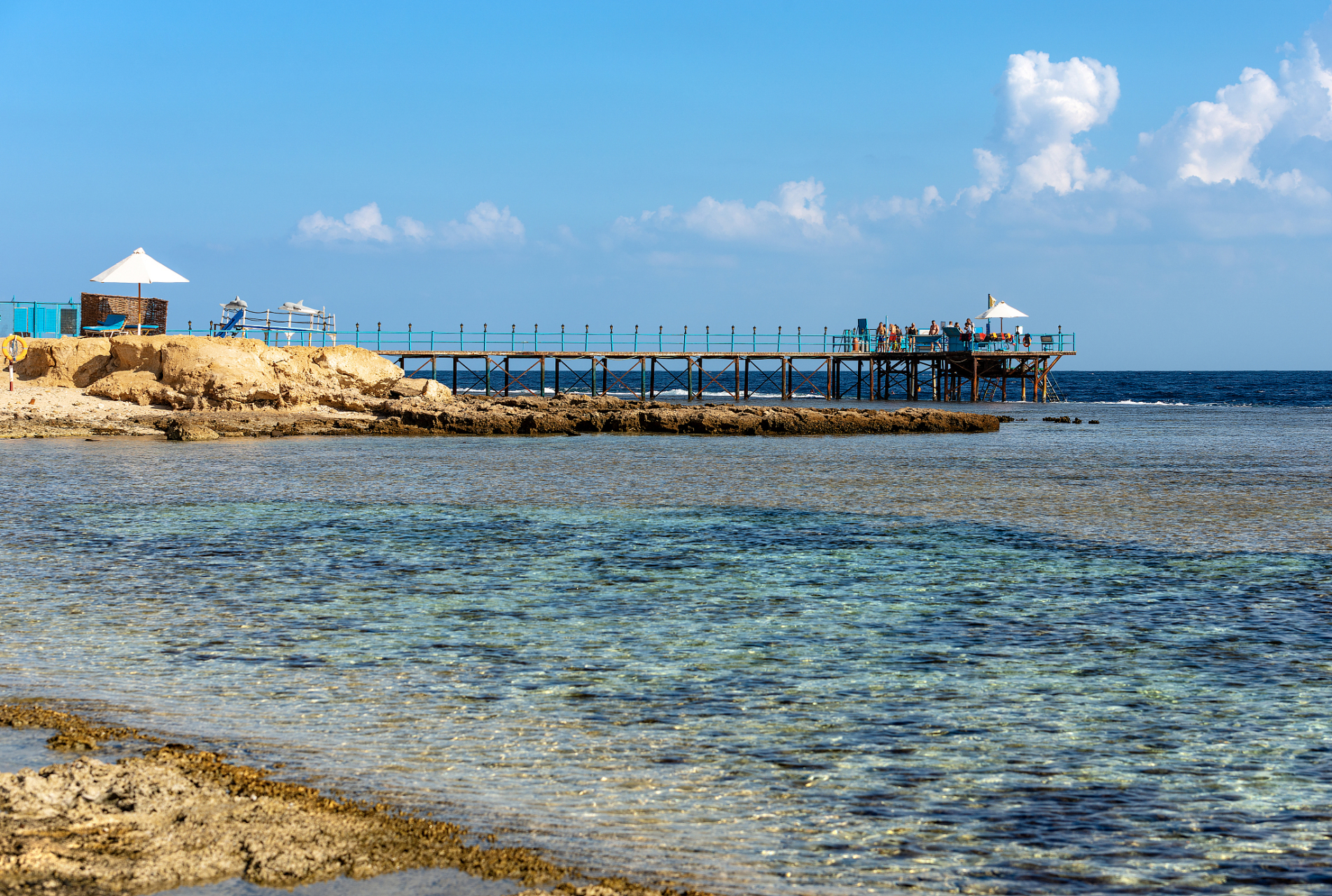 来到养马岛旅游度假区,这个位于烟台市牟平区的国家aaaa级旅游景区,因