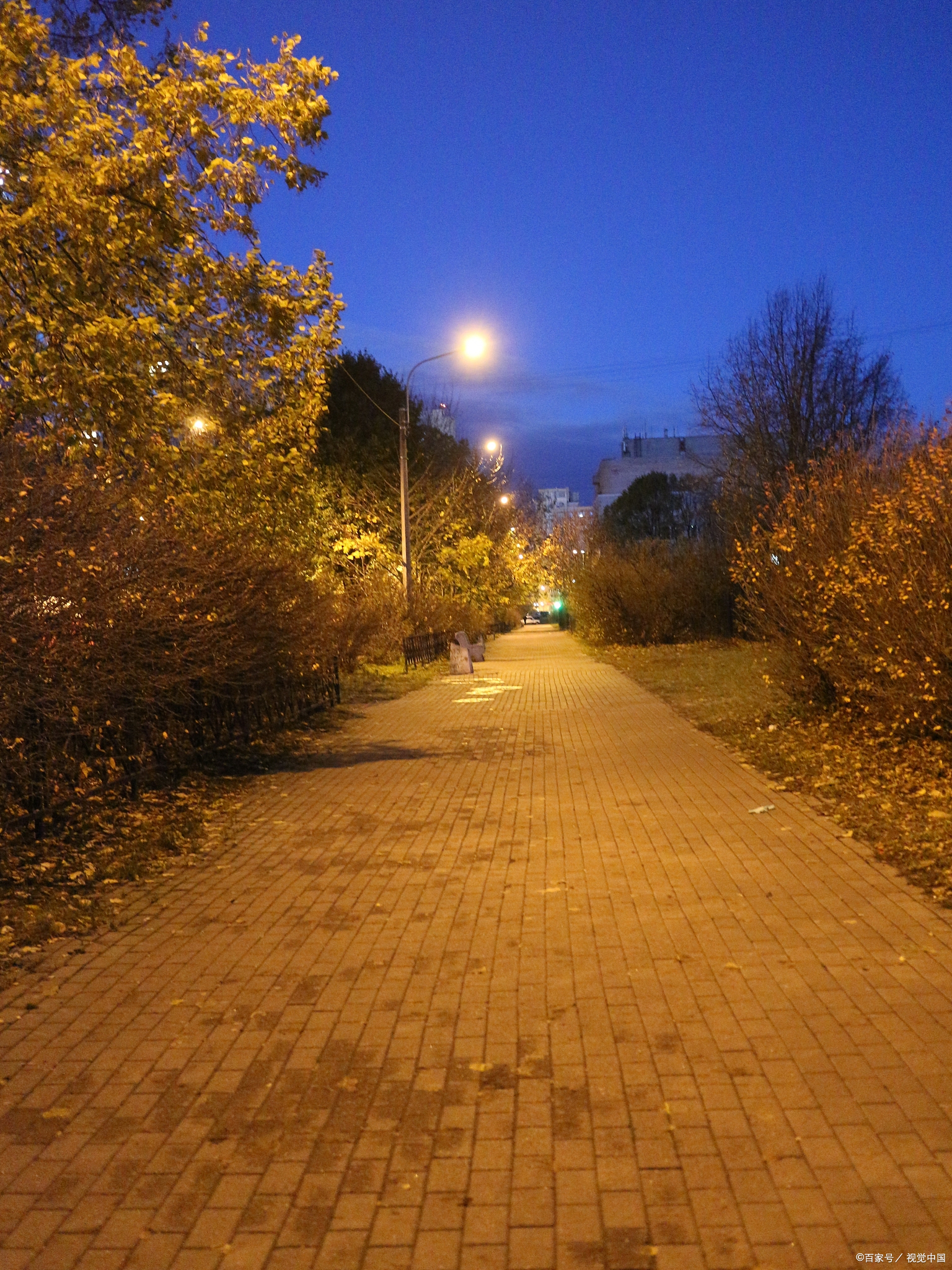 秋天是我最喜欢的季节之一,但这个深秋的夜晚,我躺在床上,思绪万千