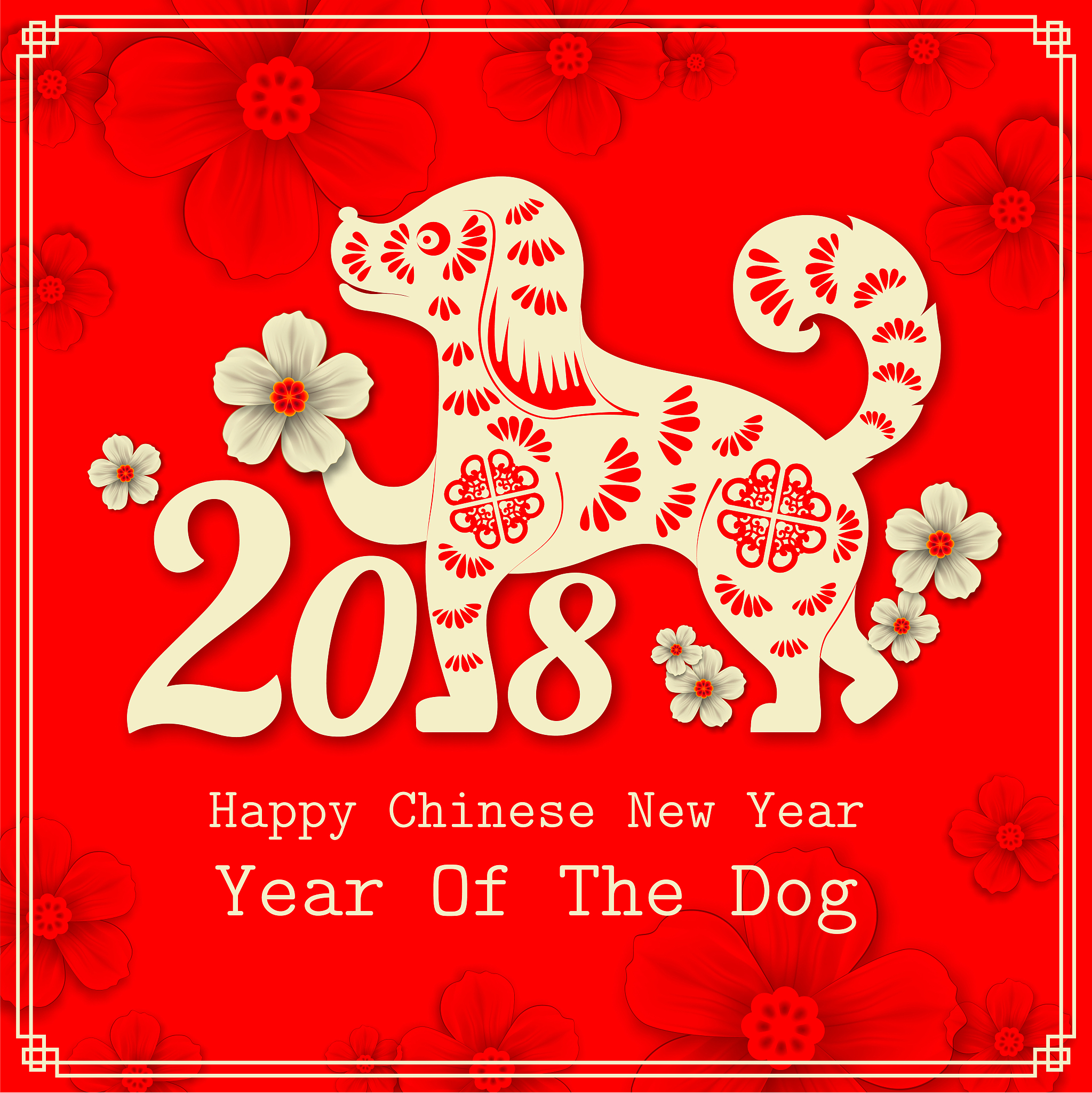 狗配狗生肖运势如何(狗相配的生肖大吉大利)