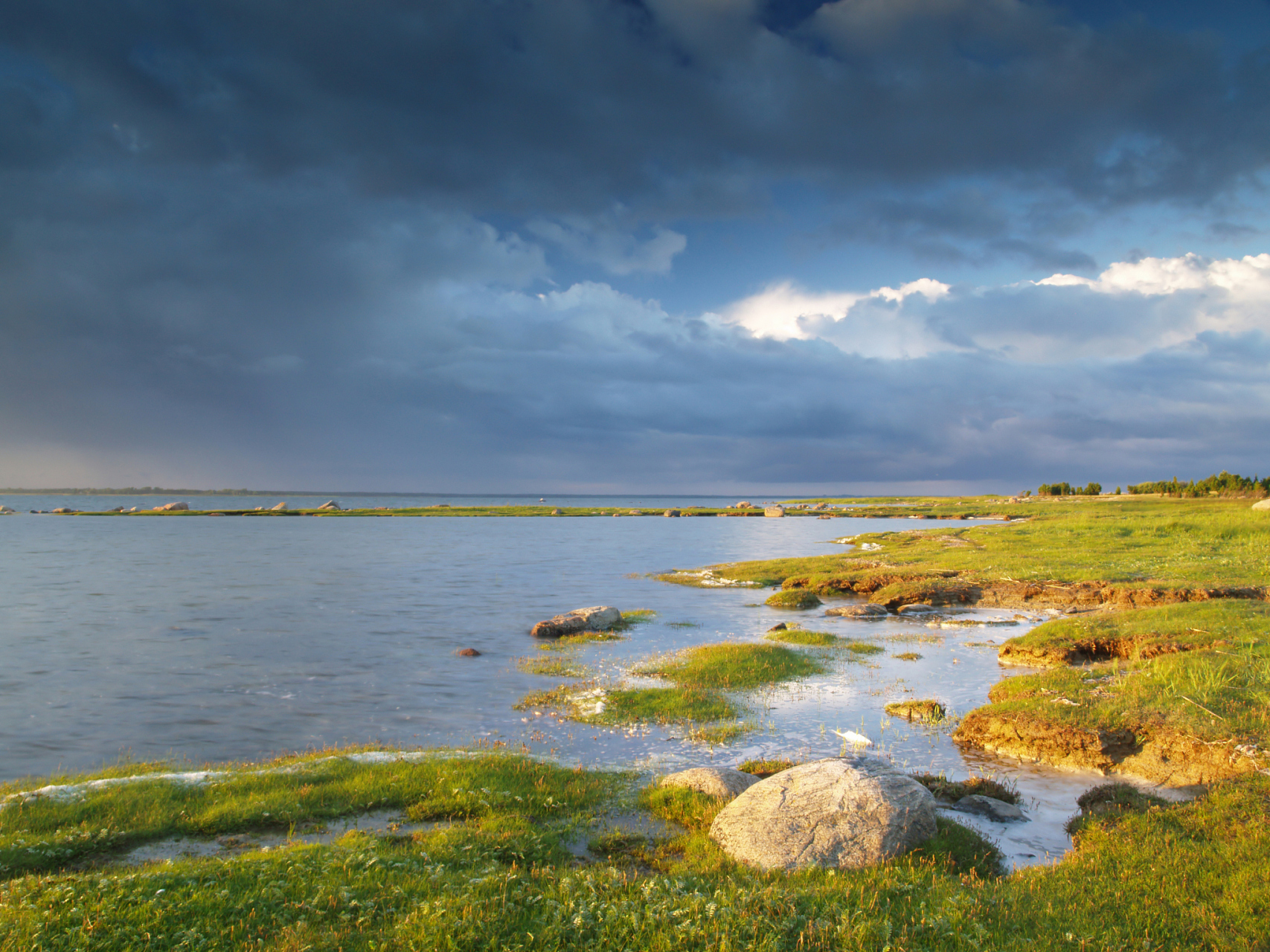 终于在一个阳光明媚的清晨,我来到了博斯腾湖,站在湖边,我被眼前的