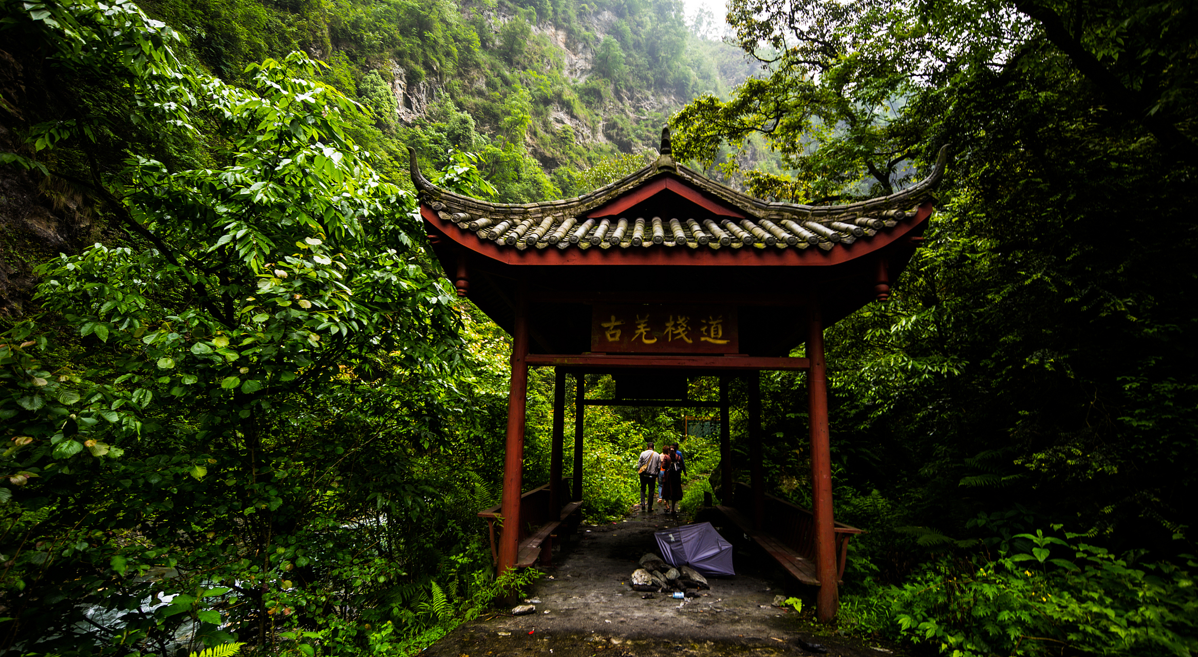 镜头里的春天# 在南充的春季,金城山森林公园犹如一首未被尘世打扰的