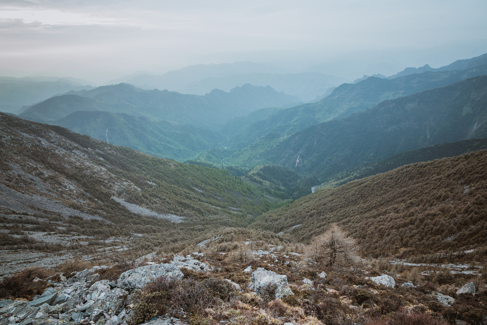 秦岭终南山位于陕西省境内,以其壮丽的自然风光和宜人的气候而闻名.