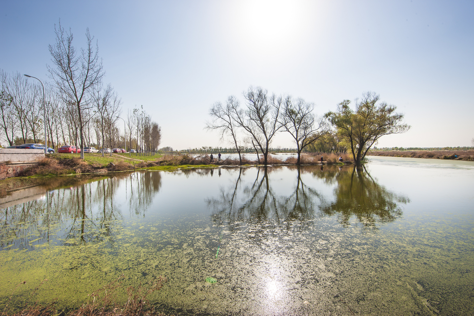 奔赴春天的旅行# 鹤鸣湖公园是西安市区内一处风景如画的休闲胜地它 