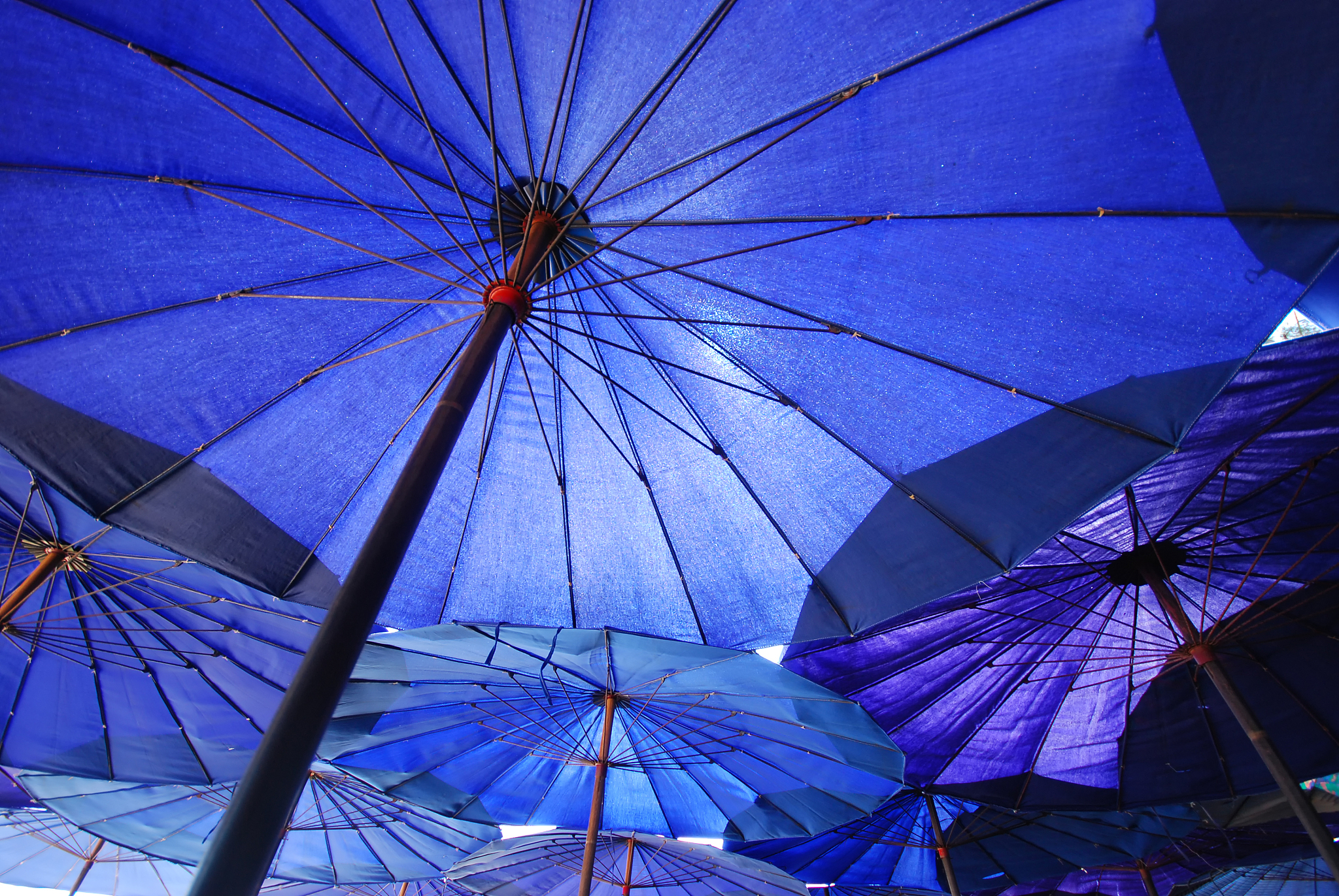 如何选择适合自己的超大雨伞,这里有详细解析