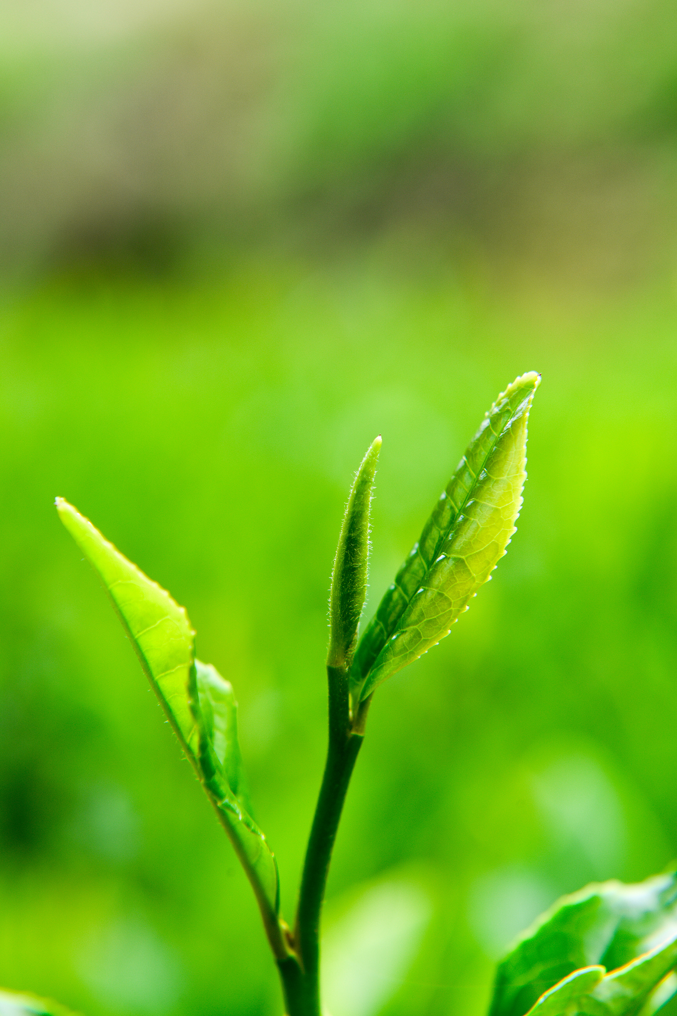 牧韵付靳默(完整小说大结局)牧韵付靳默全文阅读笔趣阁19