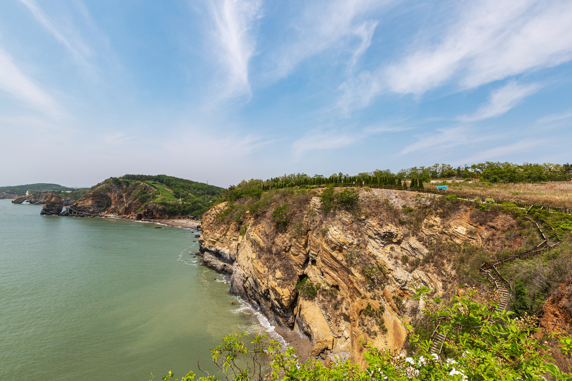 大连森林动物园  作为国家