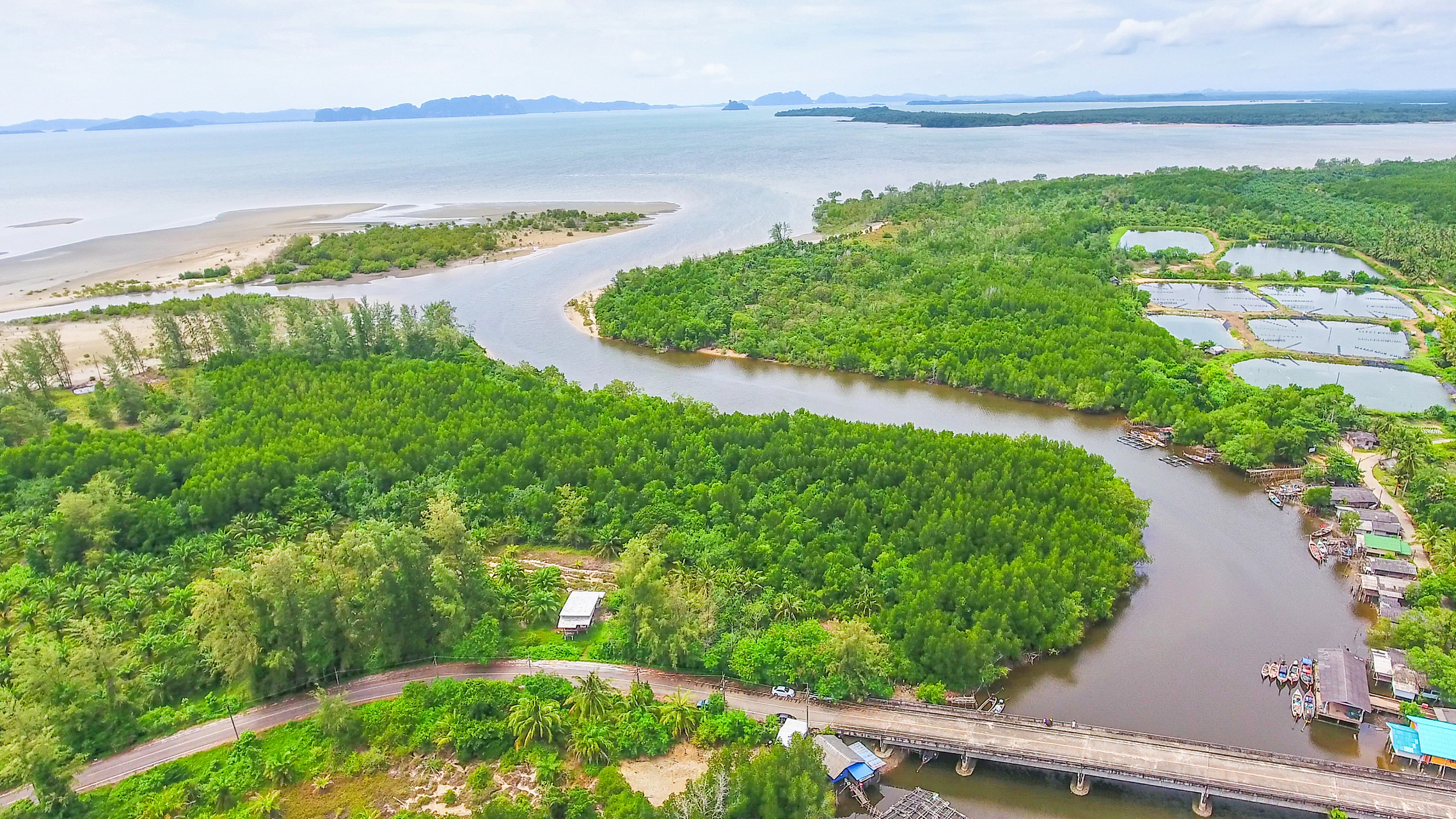 嬉行记# 北海英罗红树林保护区是中国南海地区的一处自然宝藏,其由来