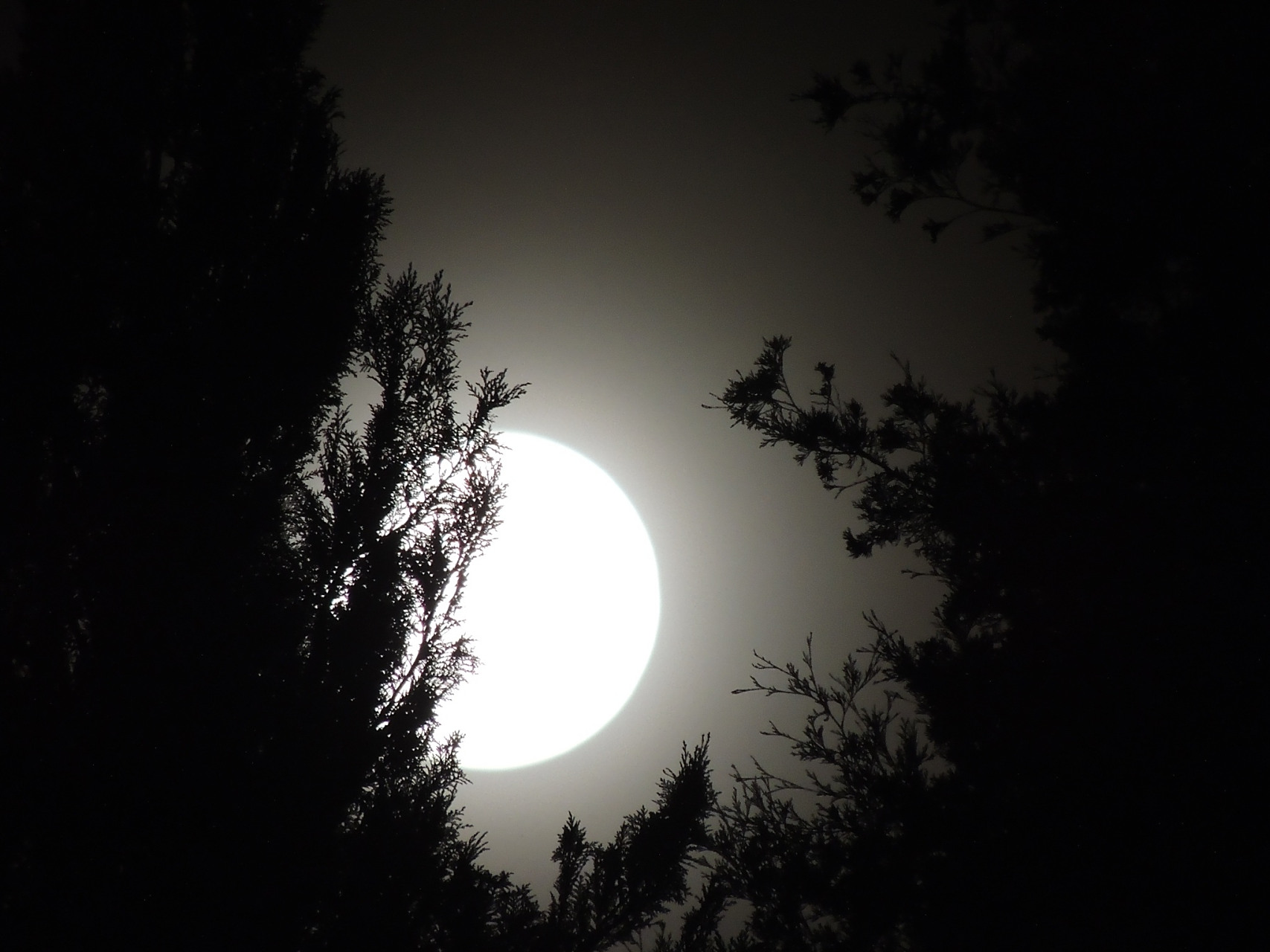 人有晚节不终者,非是两截,盖本色才露耳.