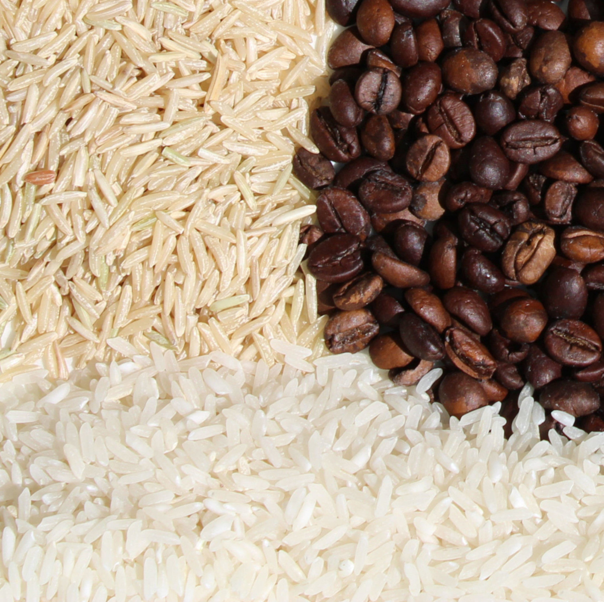 给大家推荐的是肇东市涝洲镇稻香水稻种植专业合作社的涝洲江畔大米