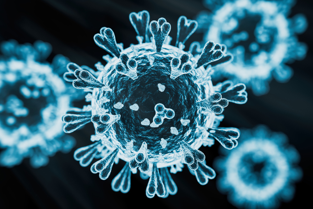 两个月大的狗狗感染了冠状病毒?别慌!