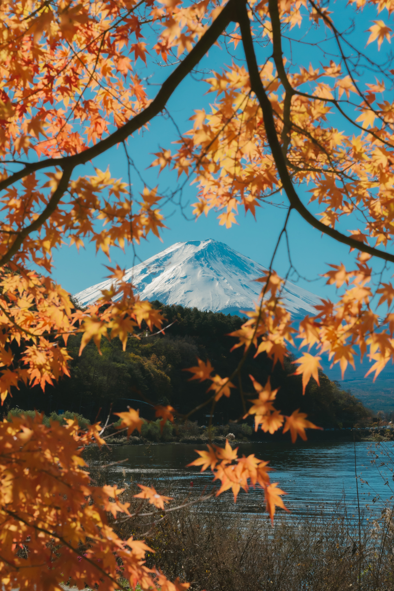 富士山之谜 自然奇观如何成日本之魂?快来探寻其独特魅力