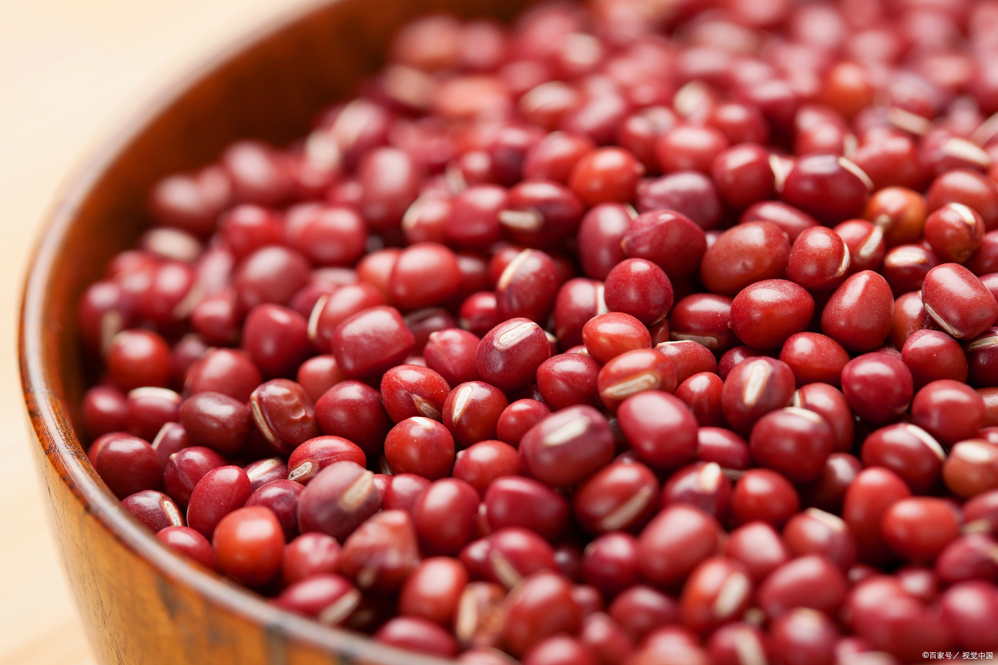 红豆:相思之情的浪漫象征,爱情与幸福的甜蜜代表