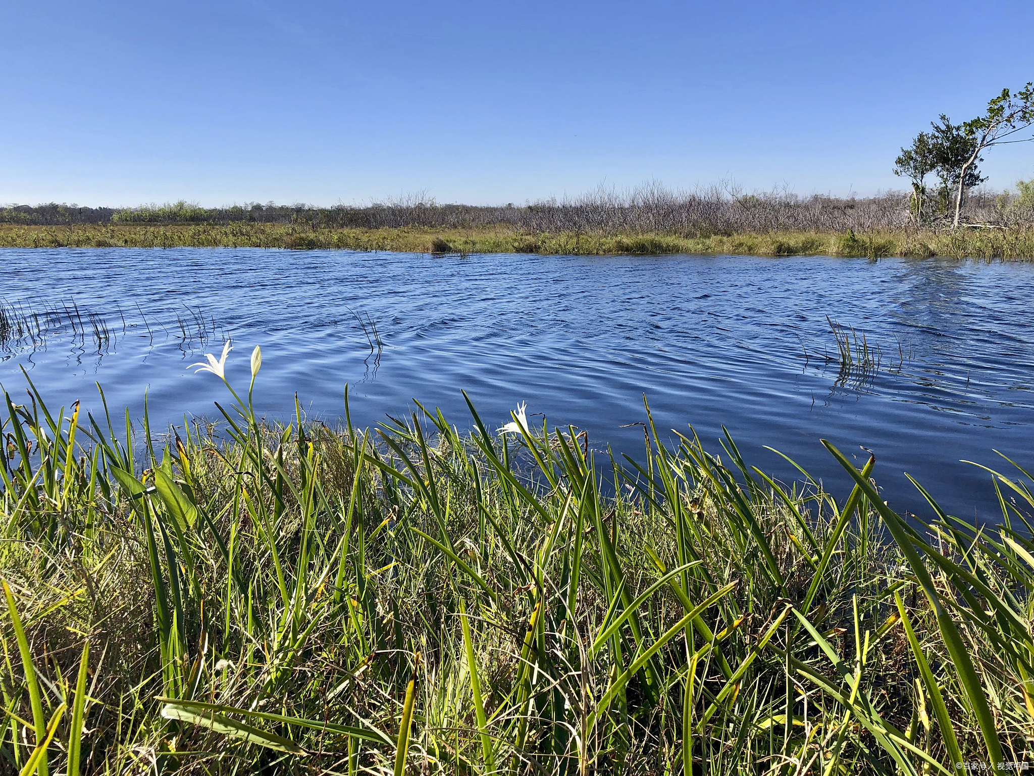天津临港生态湿地公园,观鸟爱好者私藏的小众胜地!