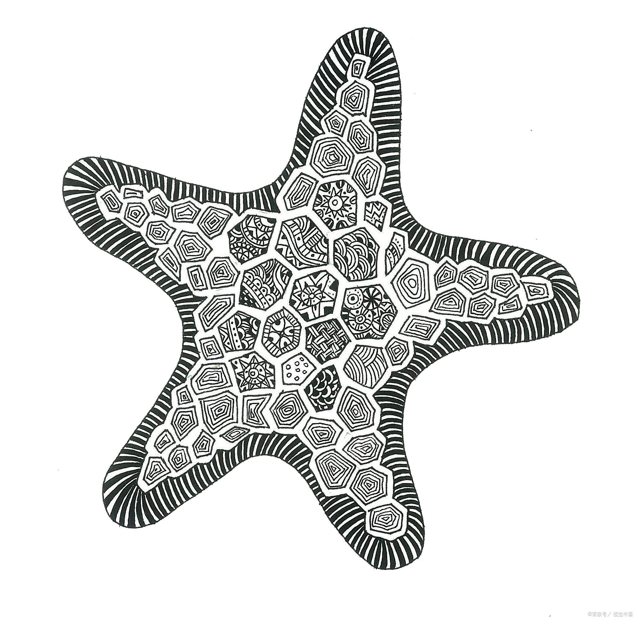 海星,这个神秘而美丽的生物,一直以来都以其独特的生活方式和形态