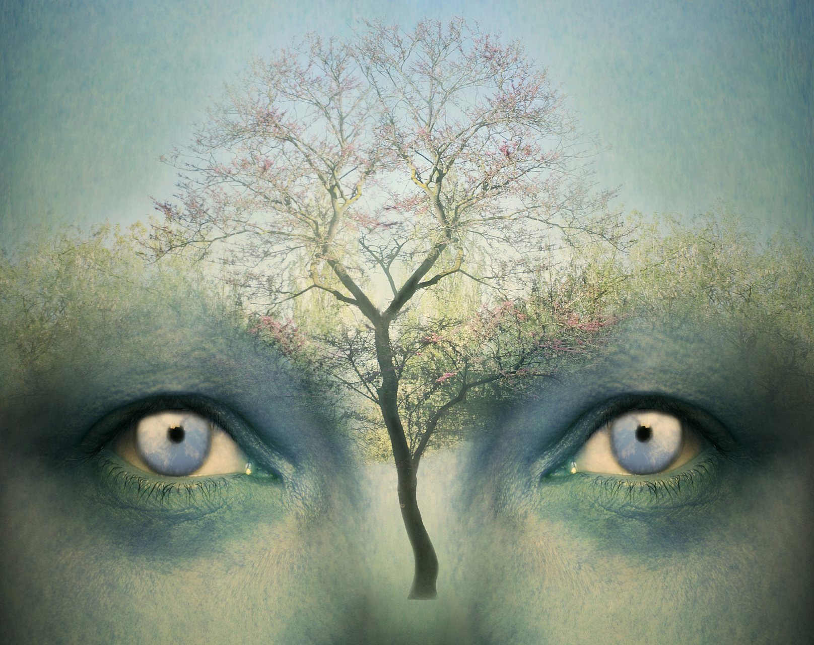 正视摄影又是什么?