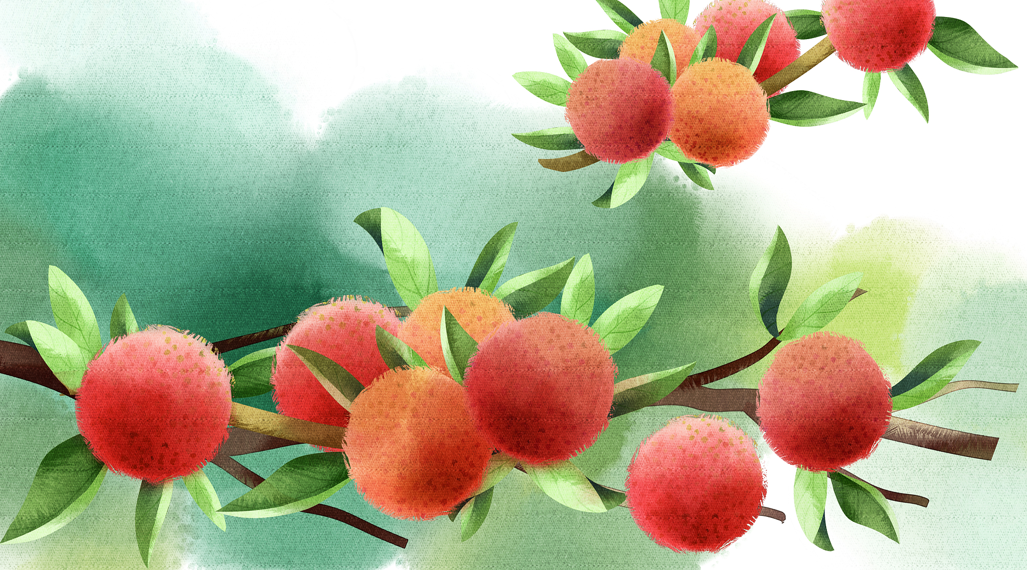 漫山遍野的杨梅树在晨雾中舒展枝条,紫红玛瑙般的果实缀满枝头,将六月