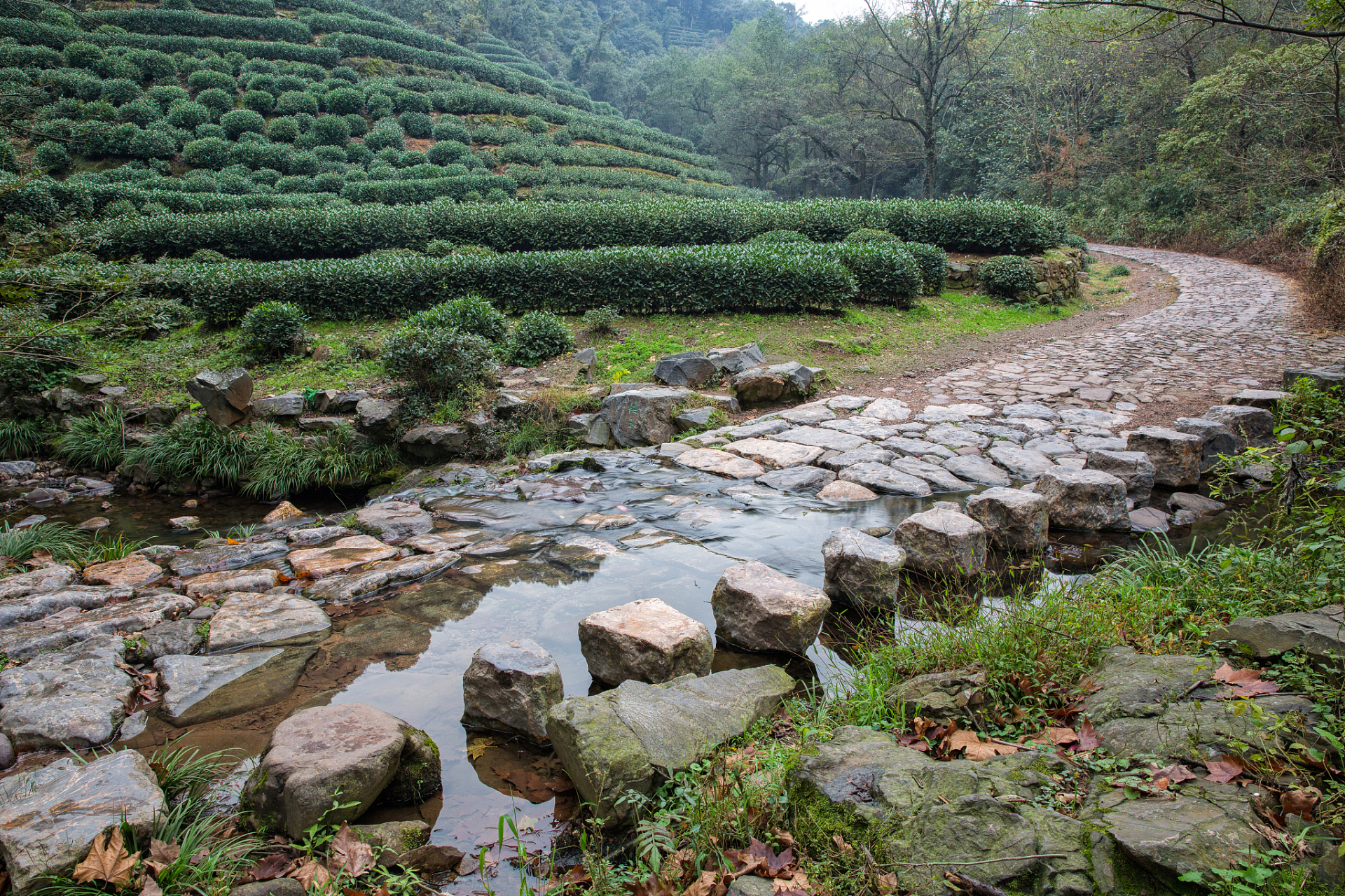 茶山古道连接浙江衢州市和安徽歙县,主要由青石板铺砌而成.