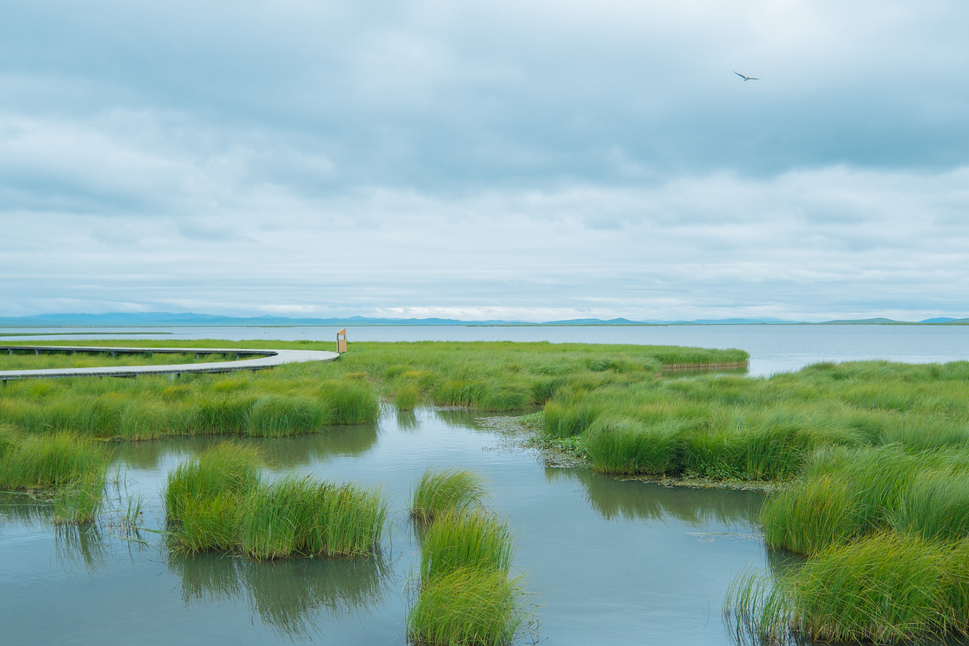 云南旅游景点推荐:草海. 草海在泸沽湖东南面,又名南海子,八仙海.