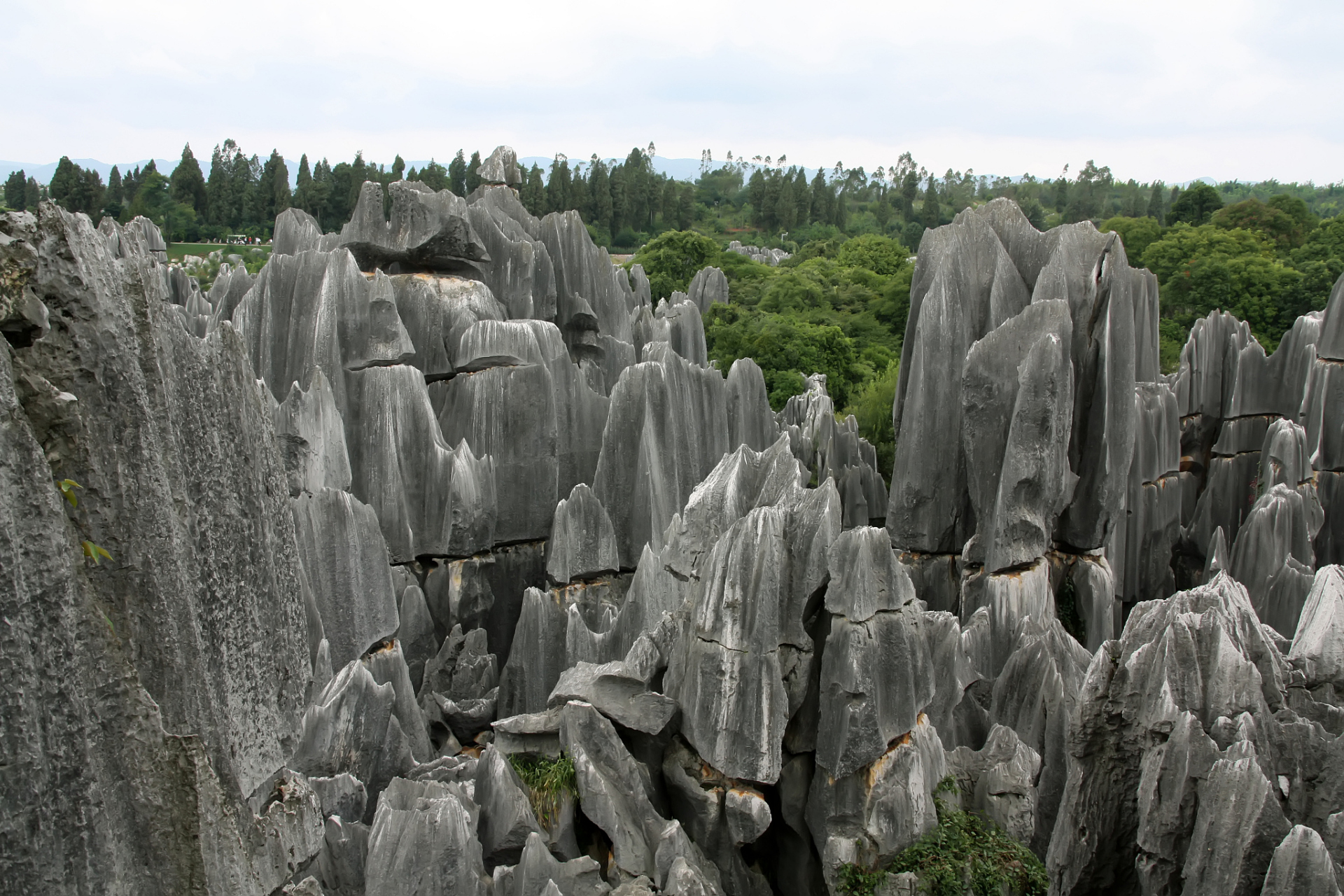 今天我要带大家探索宿州灵璧的神奇之地——石林.