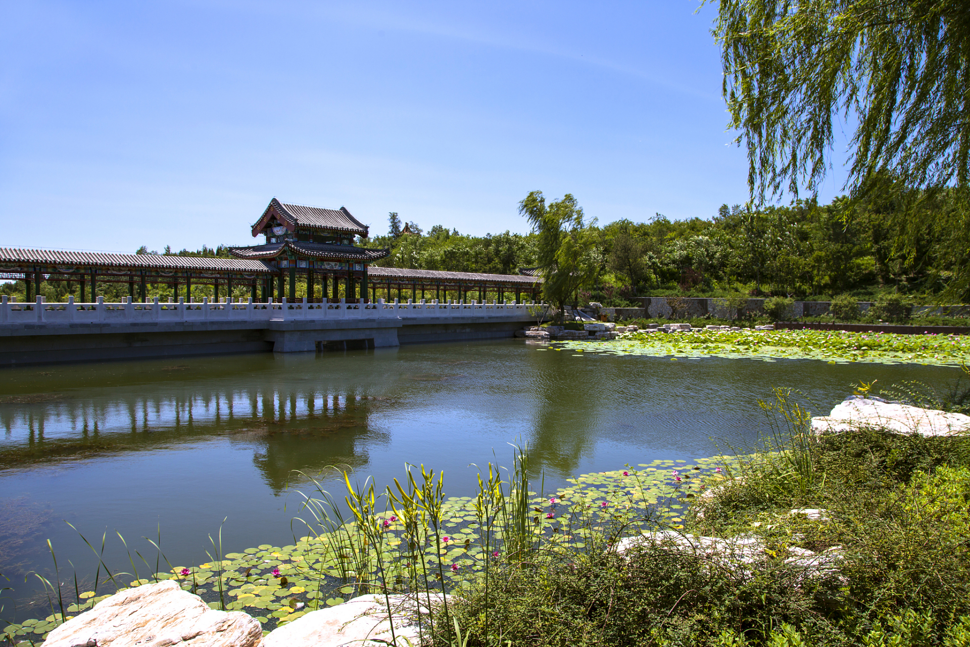 坐落在甘肃省定西市,因湖水清澈而著名