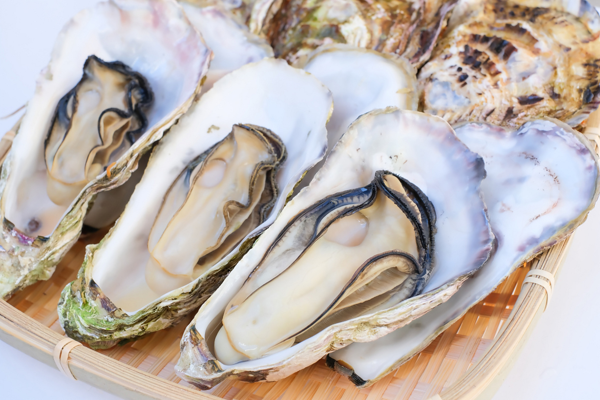 牡蛎和生蚝是两种不同的贝类生物,存在以下区别:生物分类,外观形态