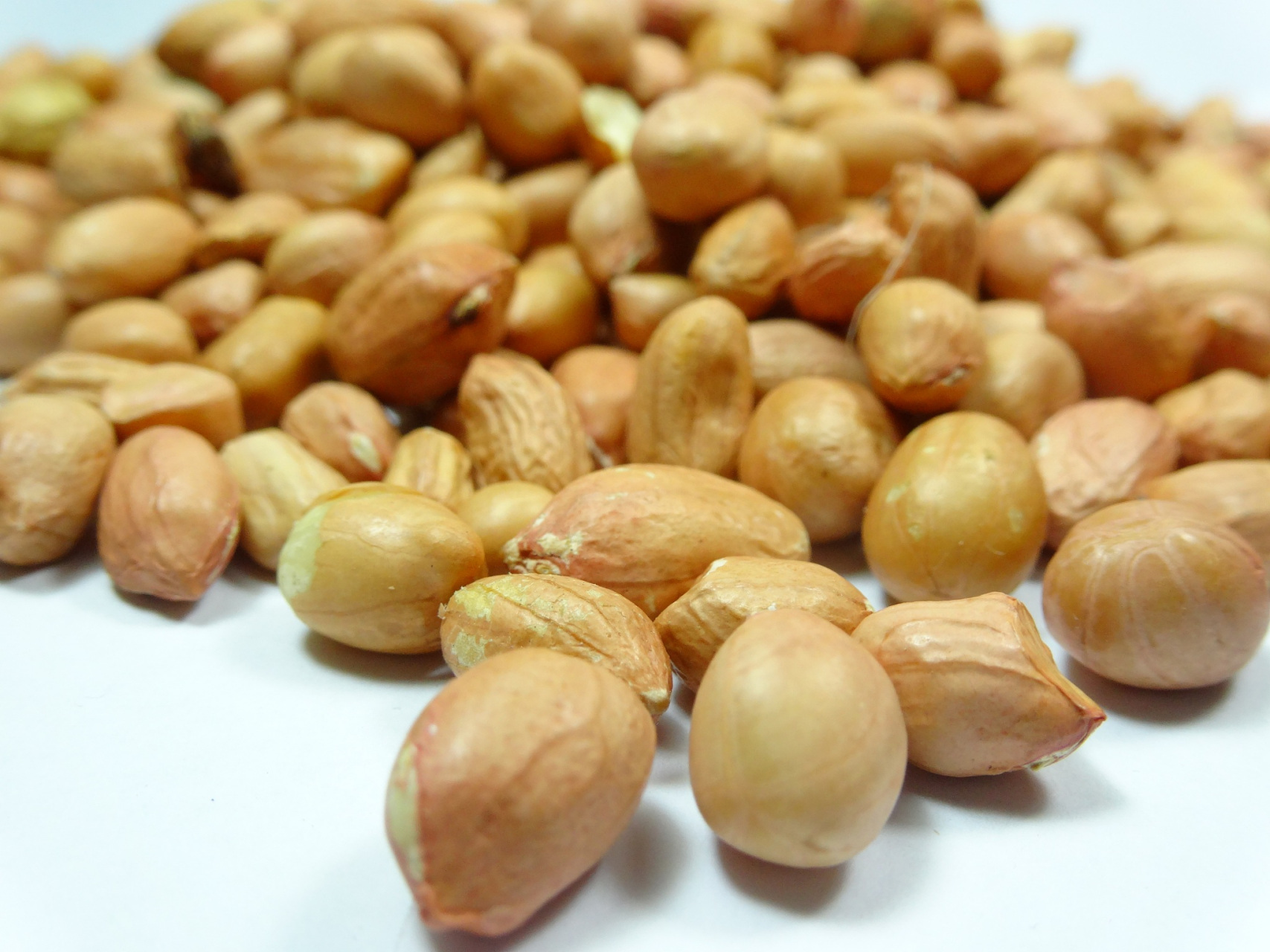 白皮花生和红皮花生在外观,营养,食用方式和价格方面有所不同.