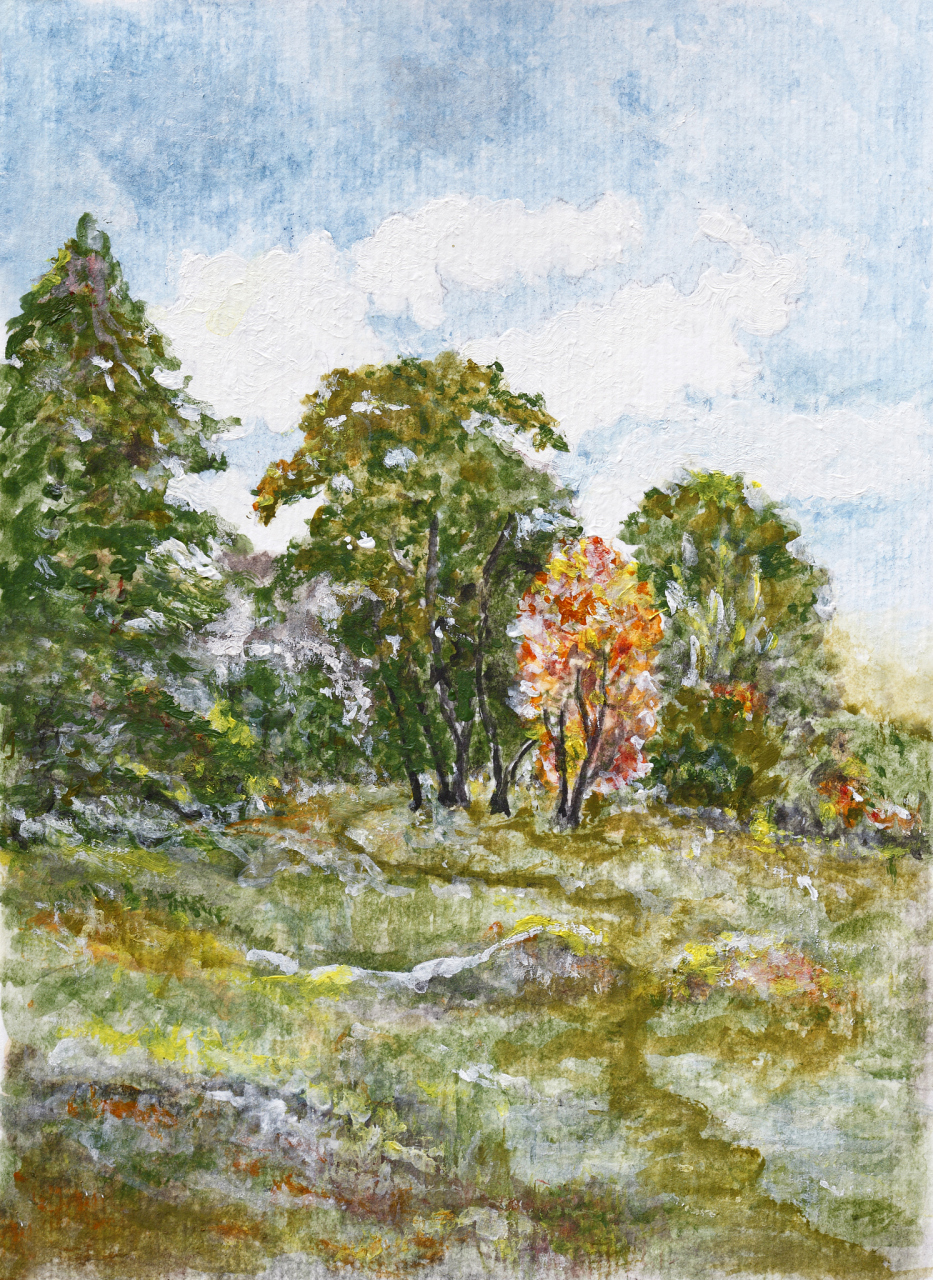 包括油画颜料,画笔,调色板和稀释剂.